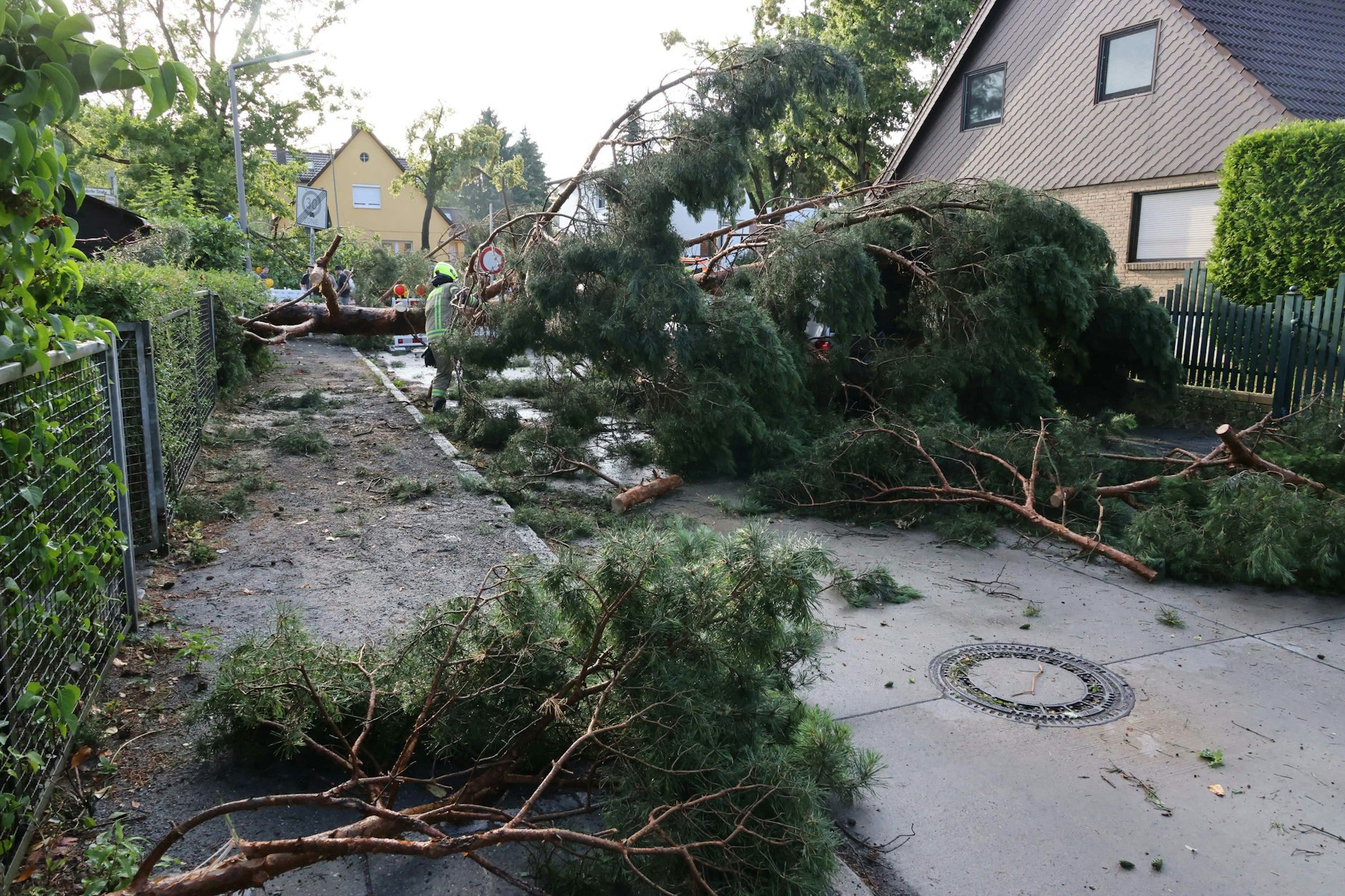 BBesonders Heiligensee wurde von dem Unwetter schwer getroffen. Bäume stürzten um, vielen auf Häuser.