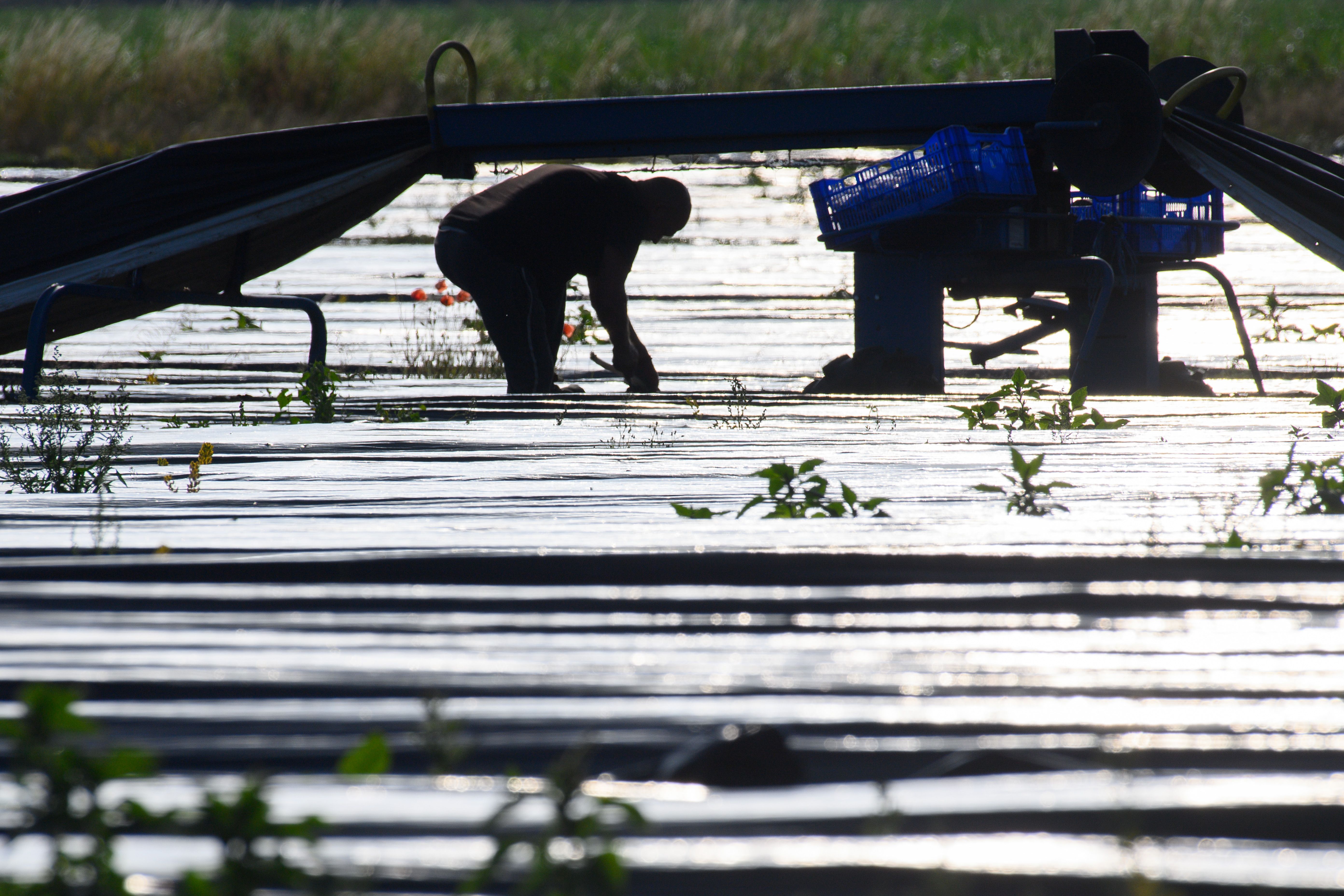 Image - Mindestlohn steigt ab Januar in zwei Schritten: Was jetzt geplant ist