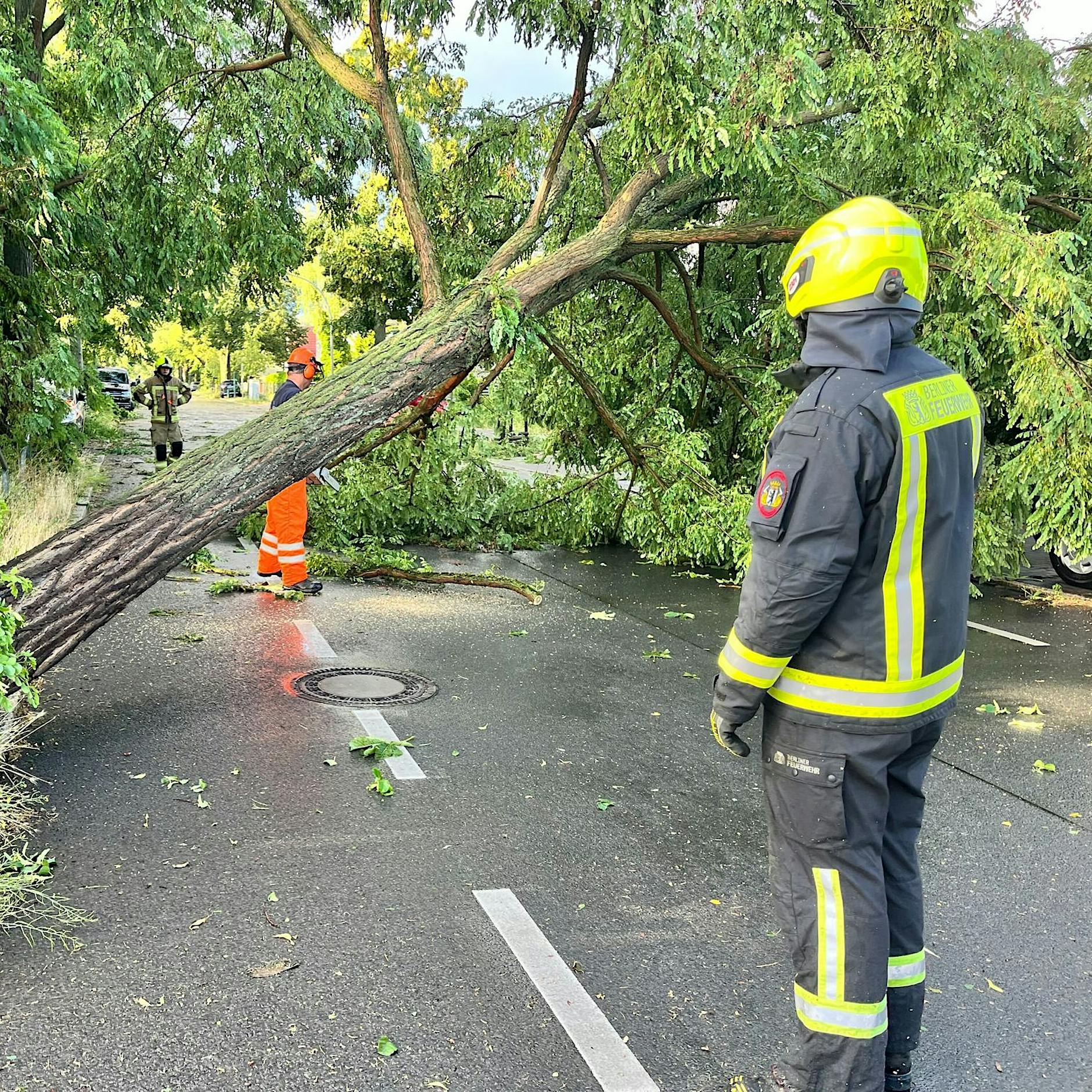 Stürme über Berlin und die Frage: „Kann nicht einfach jemand diesen Baum da wegräumen?“