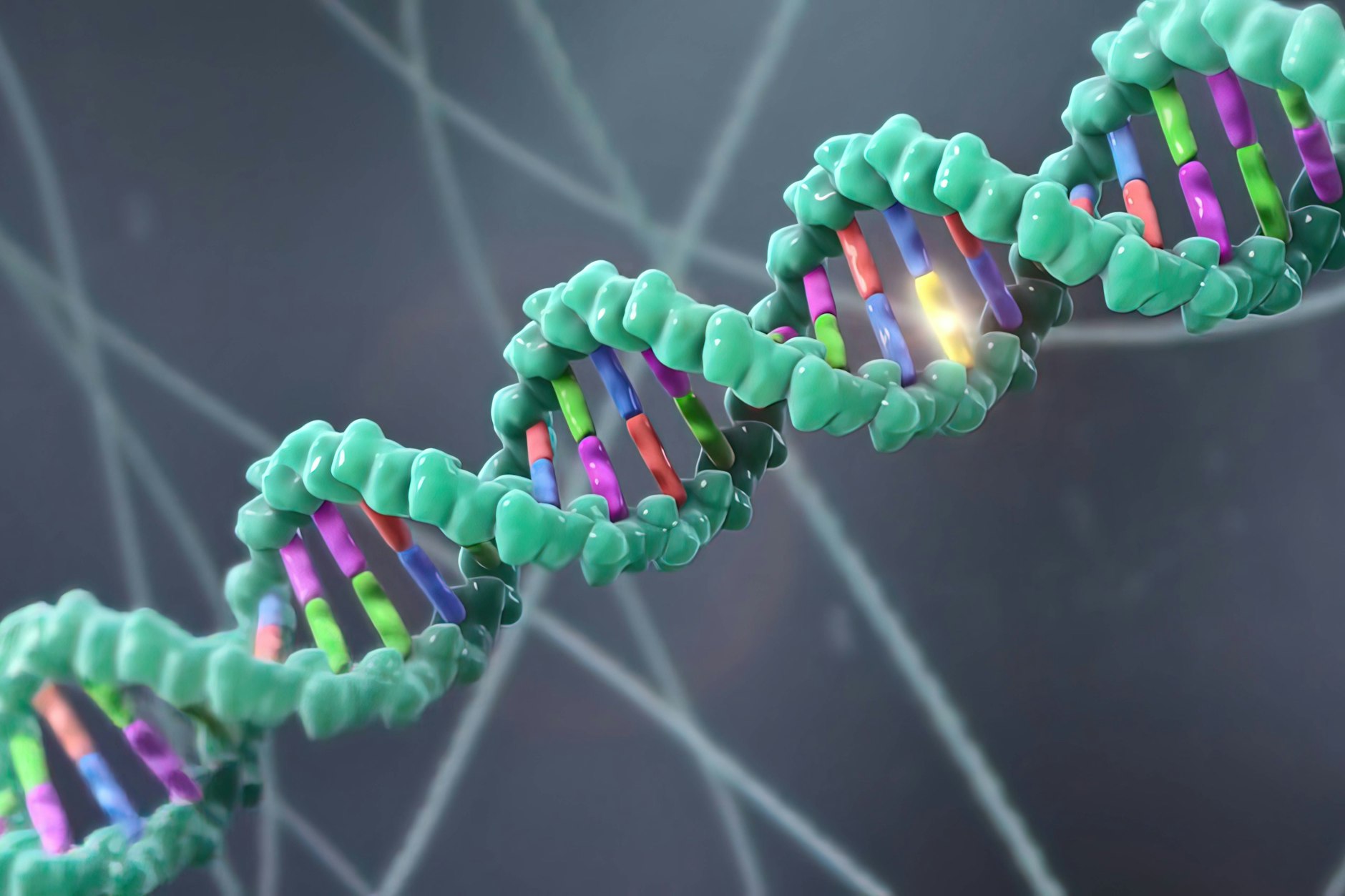 Die Doppelhelix der DNA ähnelt einer spiralförmig gedrehten Strickleiter.