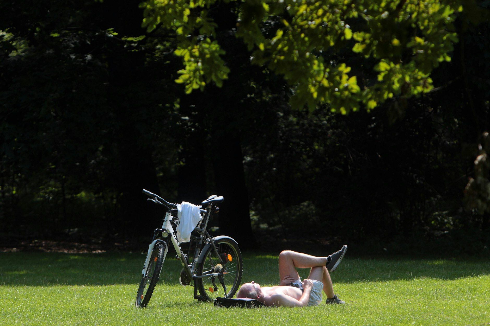 Ein schattiges Plätzchen gefällig? Der Große Tiergarten bietet eine Zuflucht vor zu viel Sonne.