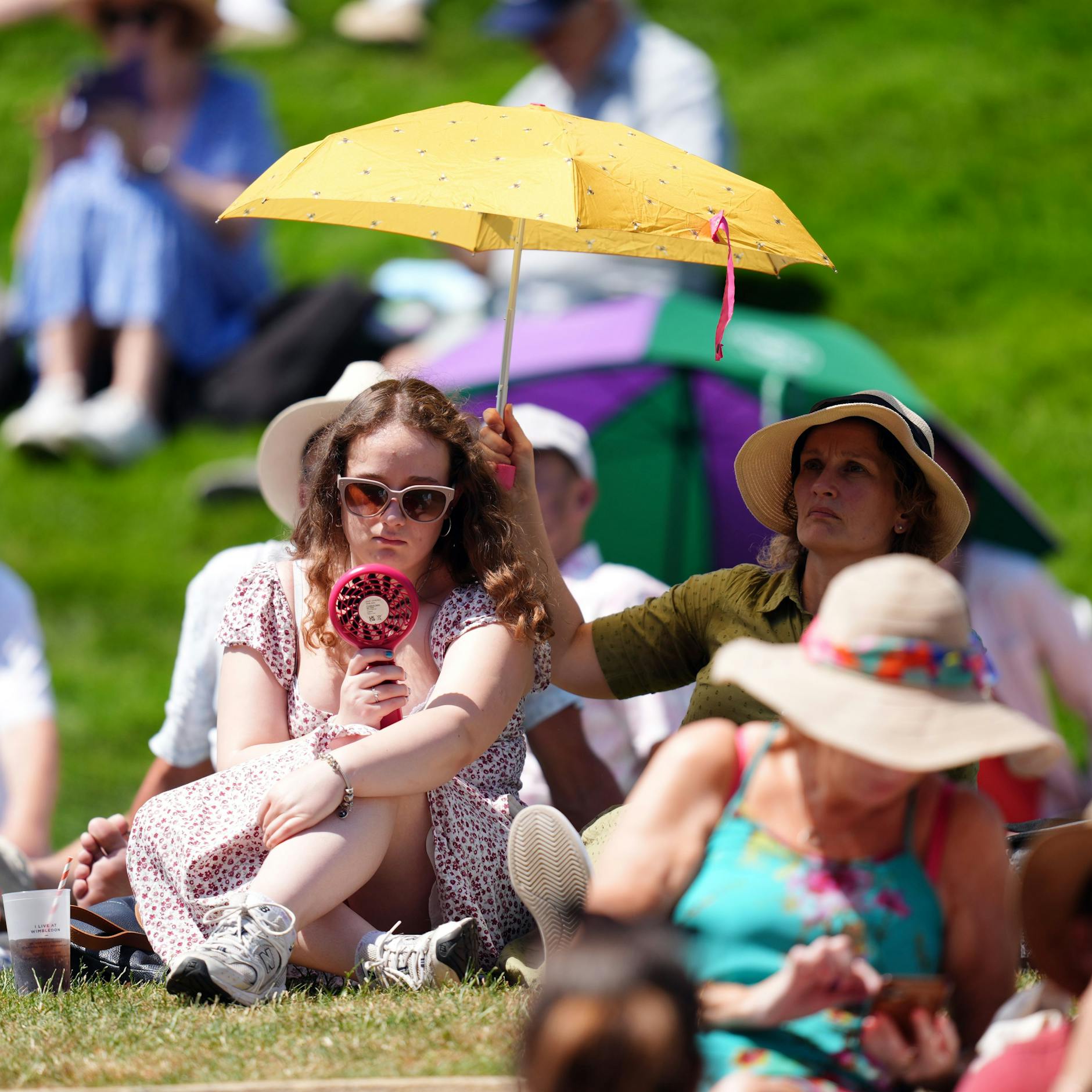 Image - Extreme Hitze in Europa: Rekorde, Waldbrände, Warnungen