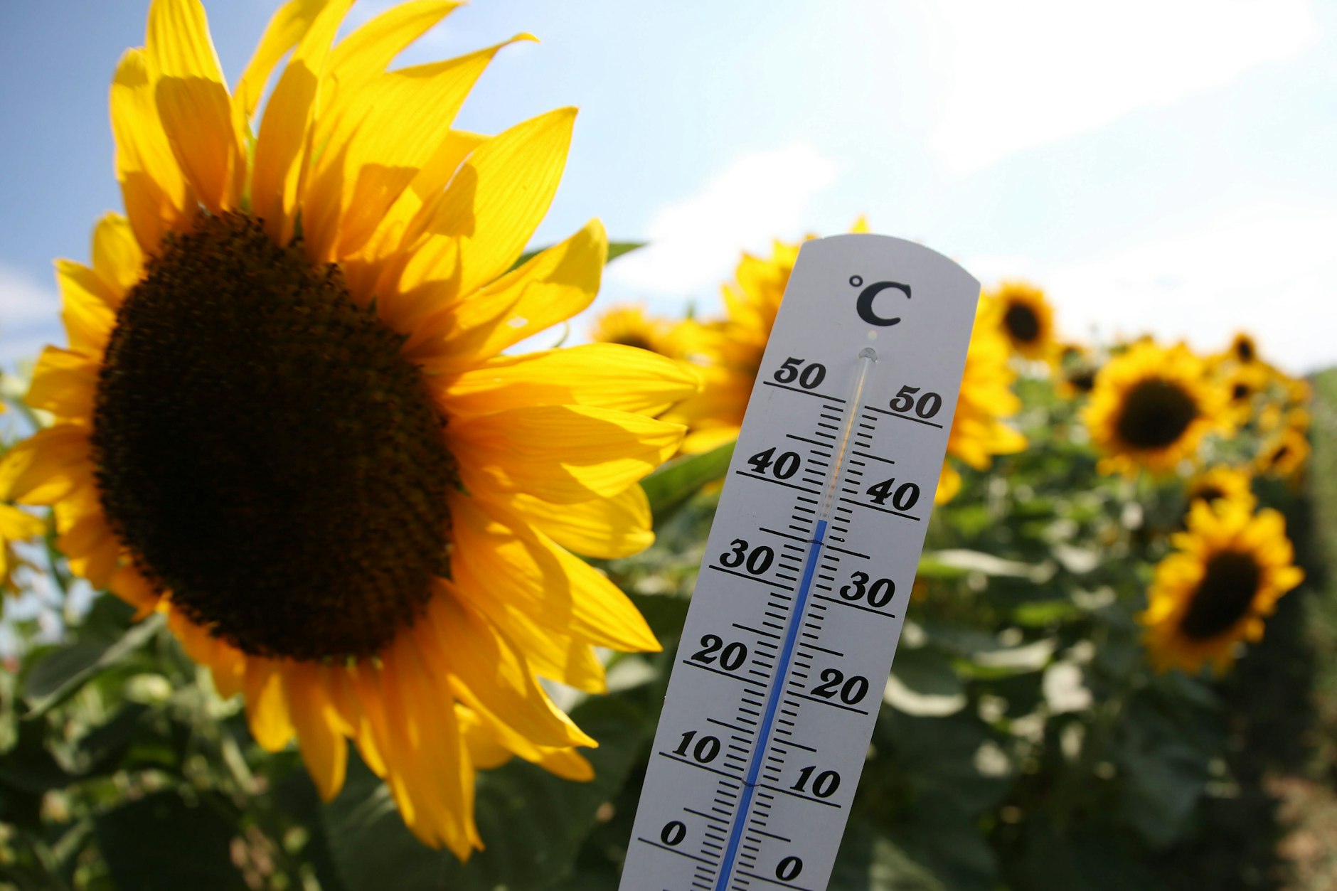 Mittwoch soll es noch wärmer werden: Schon am Dienstag zeigte das Thermometer eine hohe Temperatur.