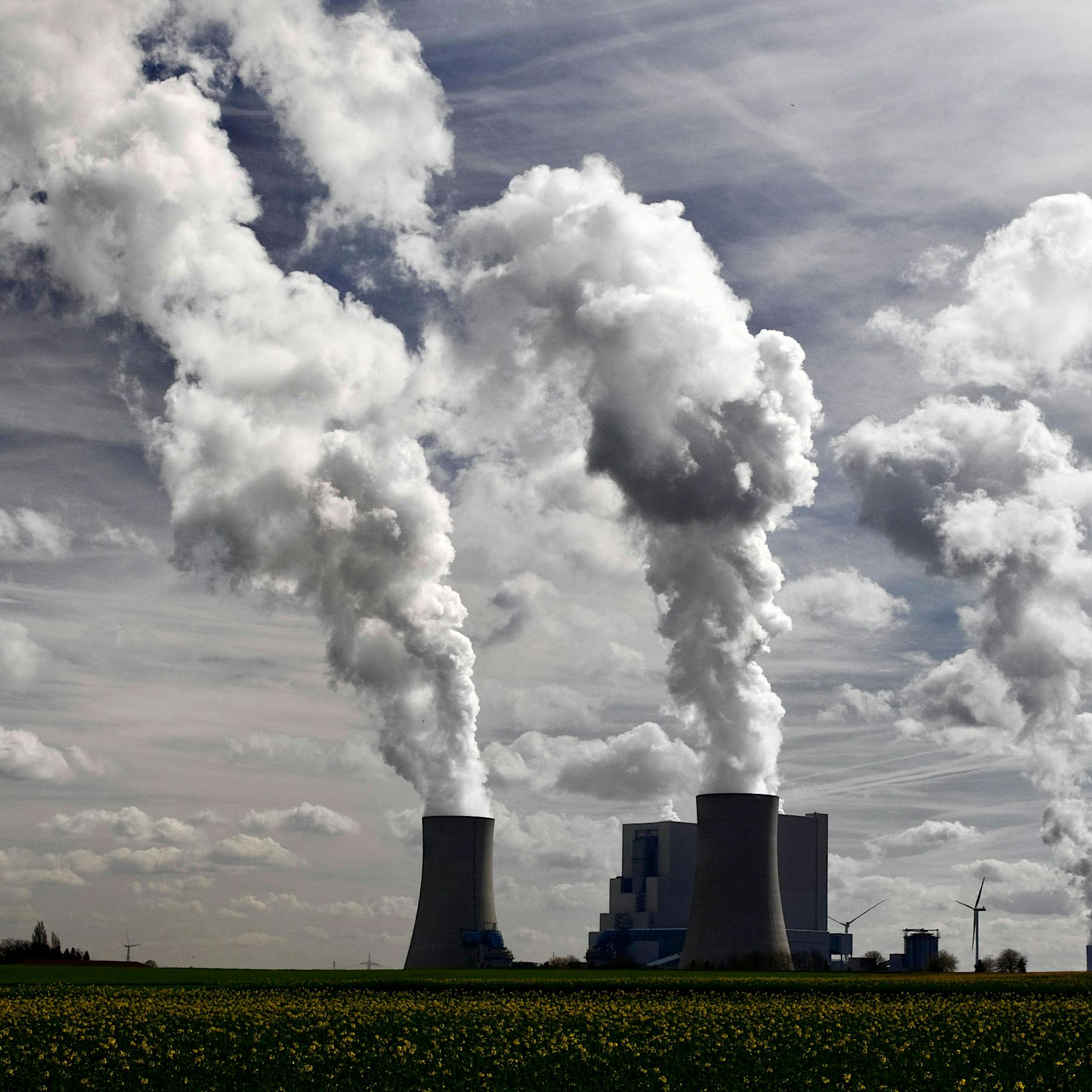 Klimaziele: EU-Staaten sollen künftig CO2-Zertifikate aus dem Ausland anrechnen dürfen