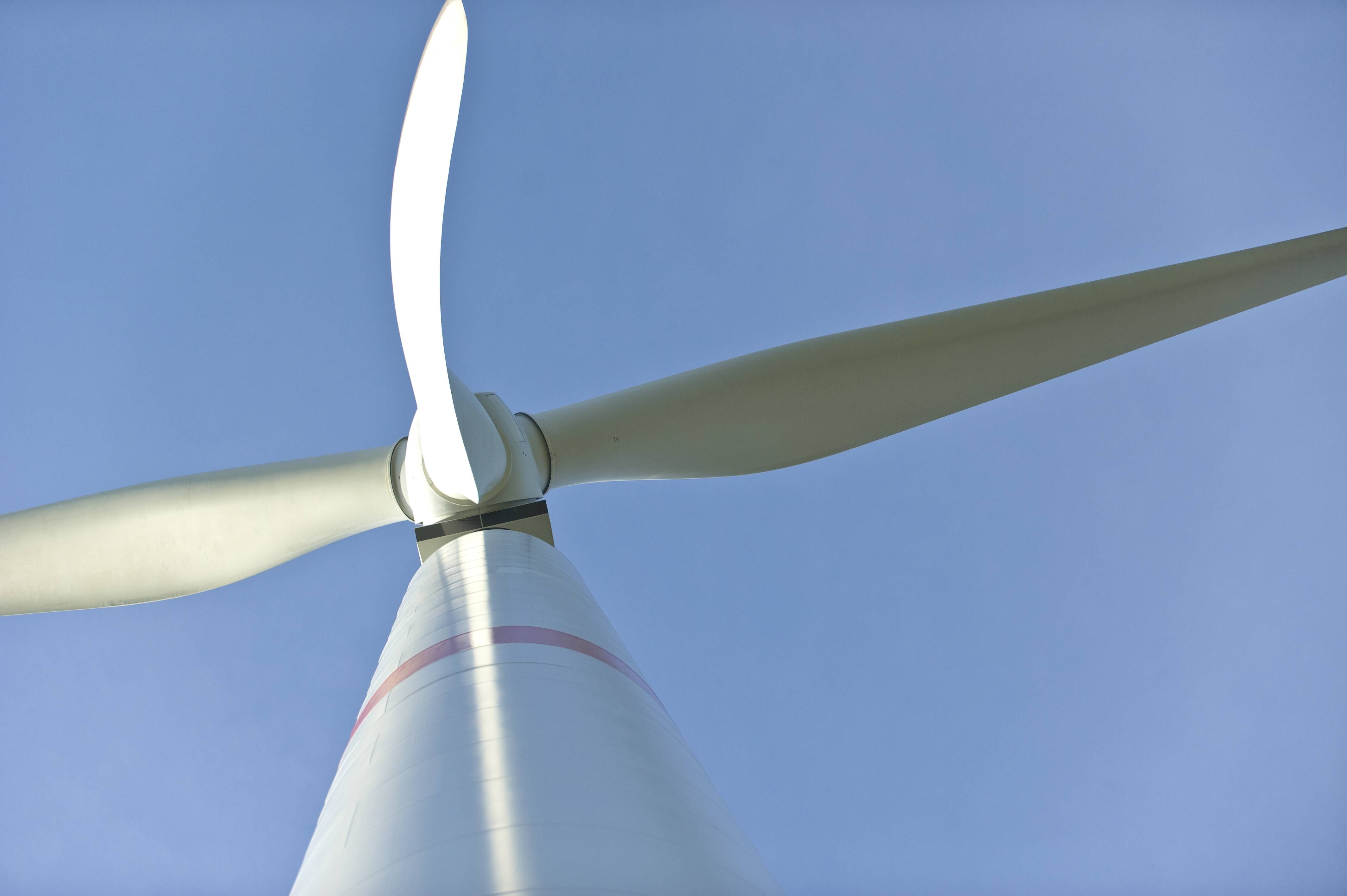 Image - Debatte um Windräder in Berlin: Gewerbegebiete haben offenbar höheren Schutzstatus als Wälder