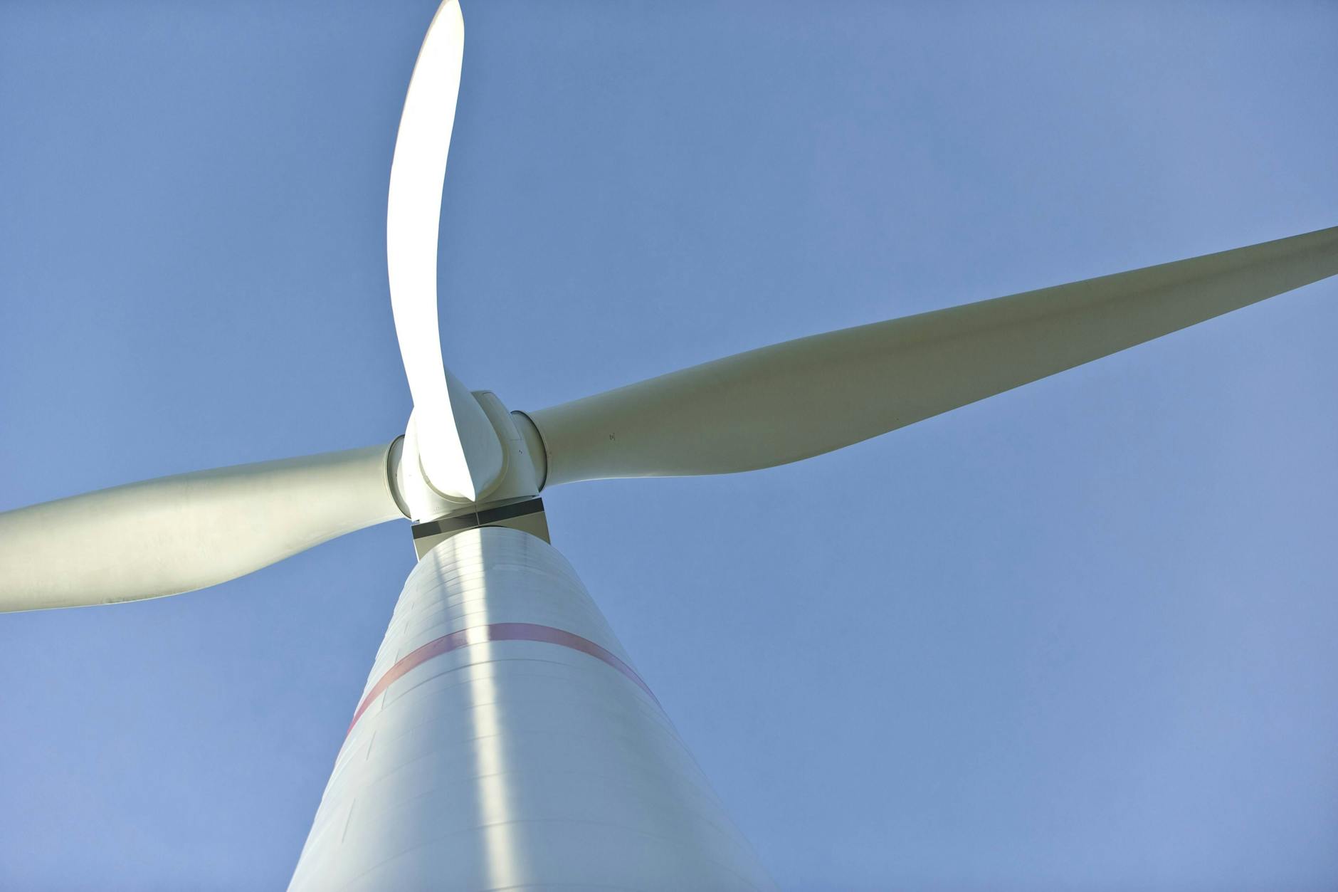 Gemäß dem Windenergieflächenbedarfsgesetz müssen alle Bundesländer bestimmte Flächen ausweisen, die für Windräder infrage kommen. In Berlin liegen einige der Flächen mitten im Wald.