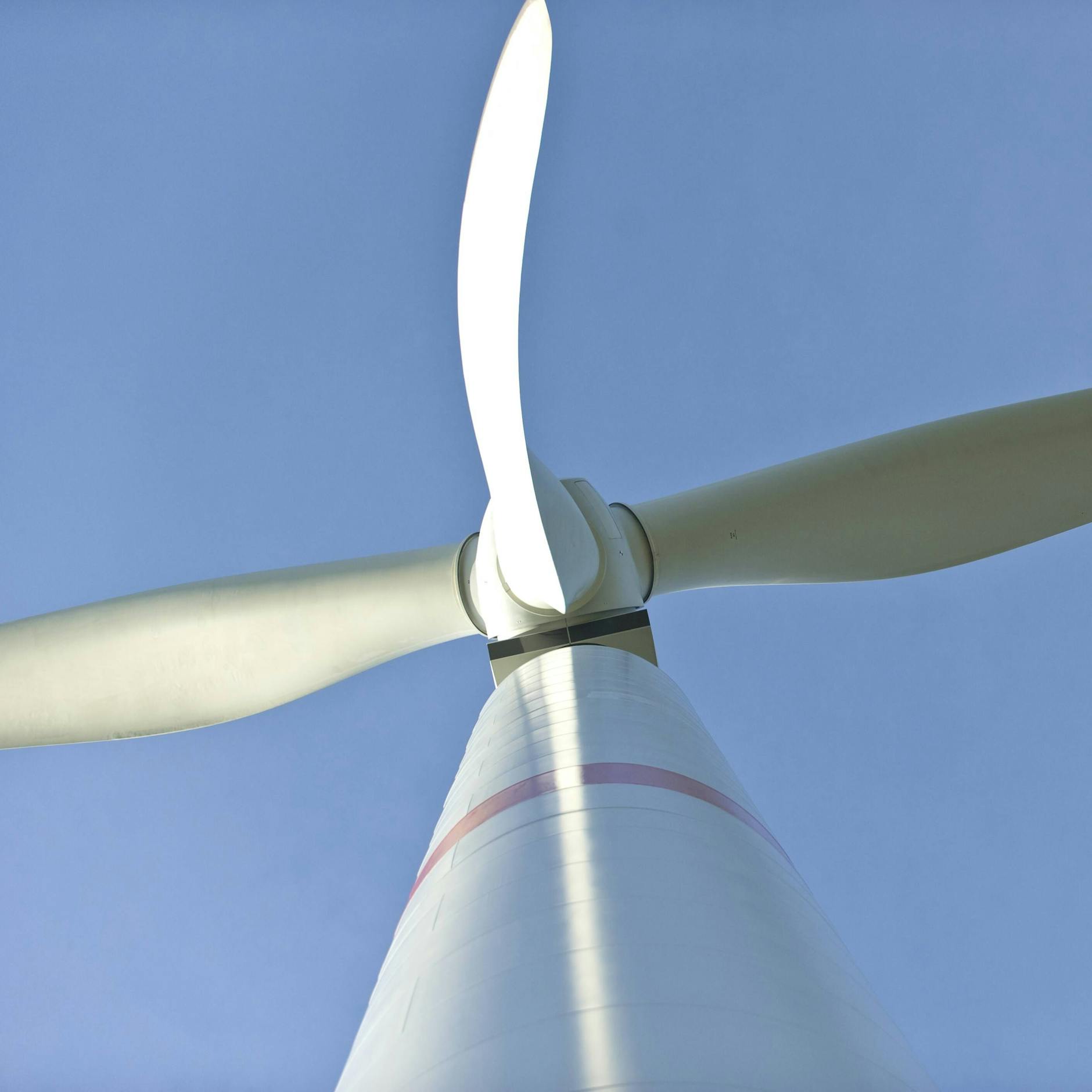 Image - Debatte um Windräder in Berlin: Gewerbegebiete haben offenbar höheren Schutzstatus als Wälder