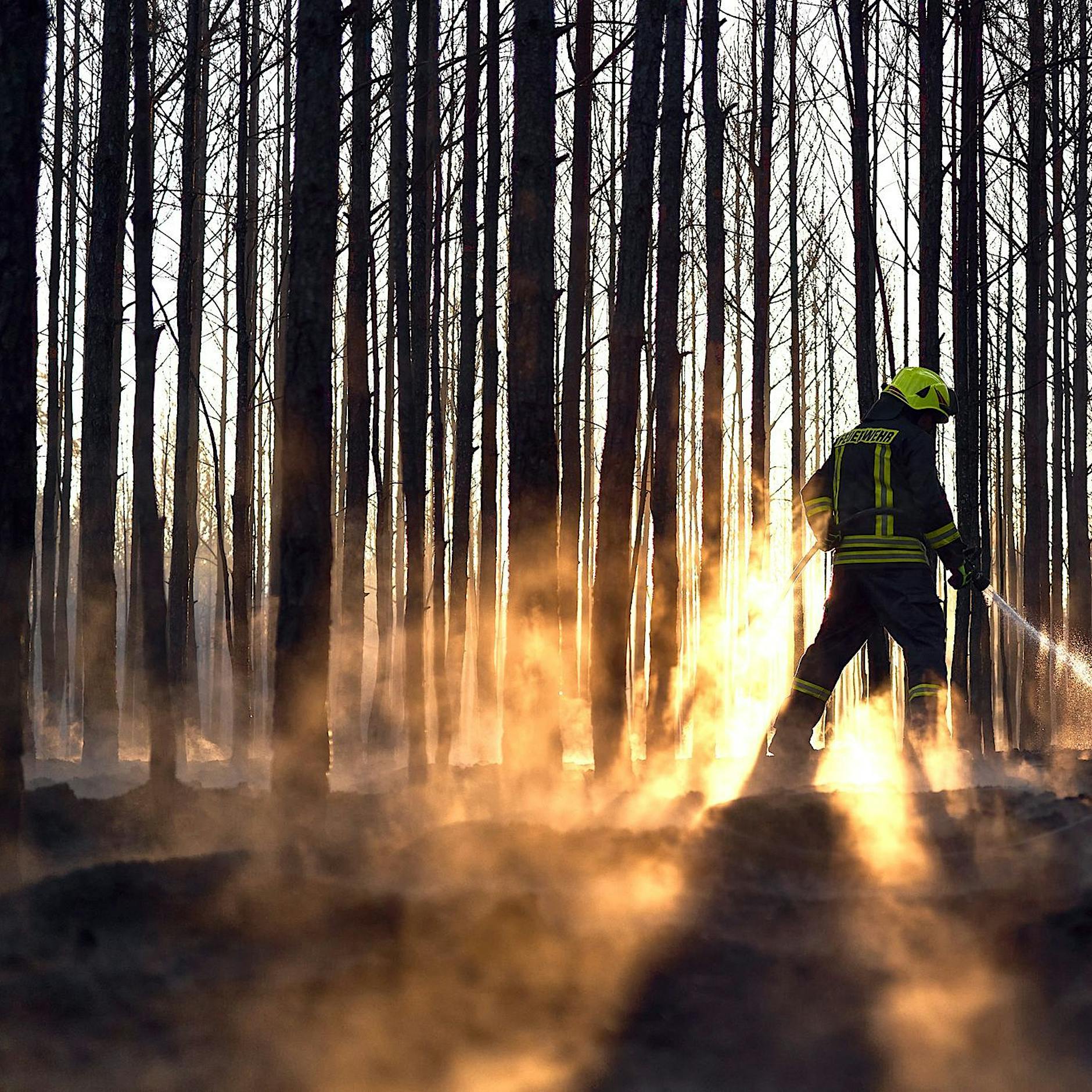 Waldbrand in Brandenburg: Feuer in Gohrischheide weiterhin nicht unter Kontrolle