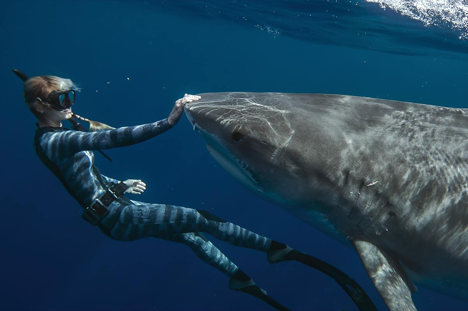 Die „Haiflüsterin“ Ocean Ramsey weiß, wie man sich mit Haien bewegt, ohne gebissen zu werden.