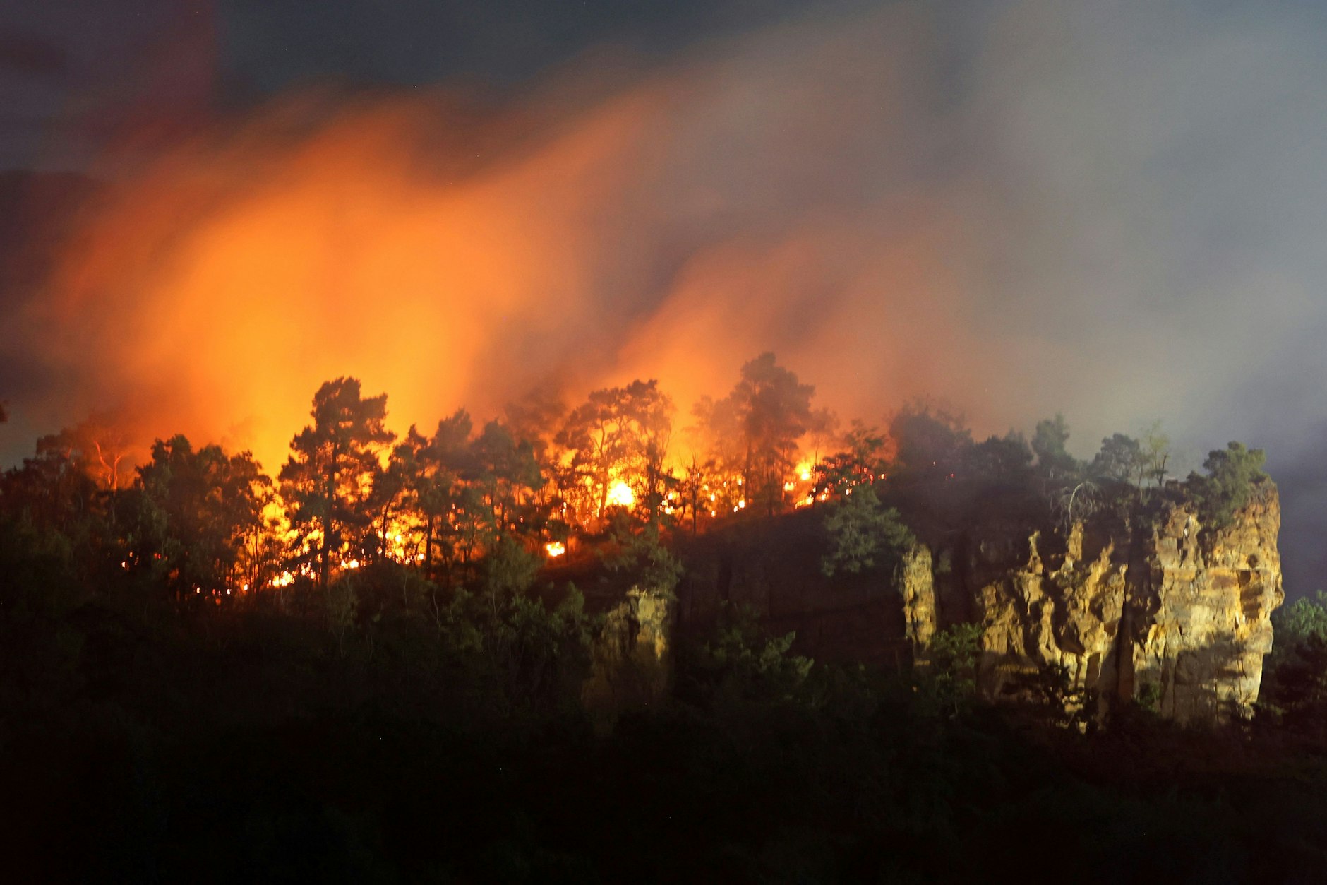 Eine Waldfläche im Bereich Lehof in Quedlinburg (Sachsen-Anhalt) stand am Abend in Flammen. Der Brand konnte gelöscht werden, am Morgen laufen noch Nachlöscharbeiten.
