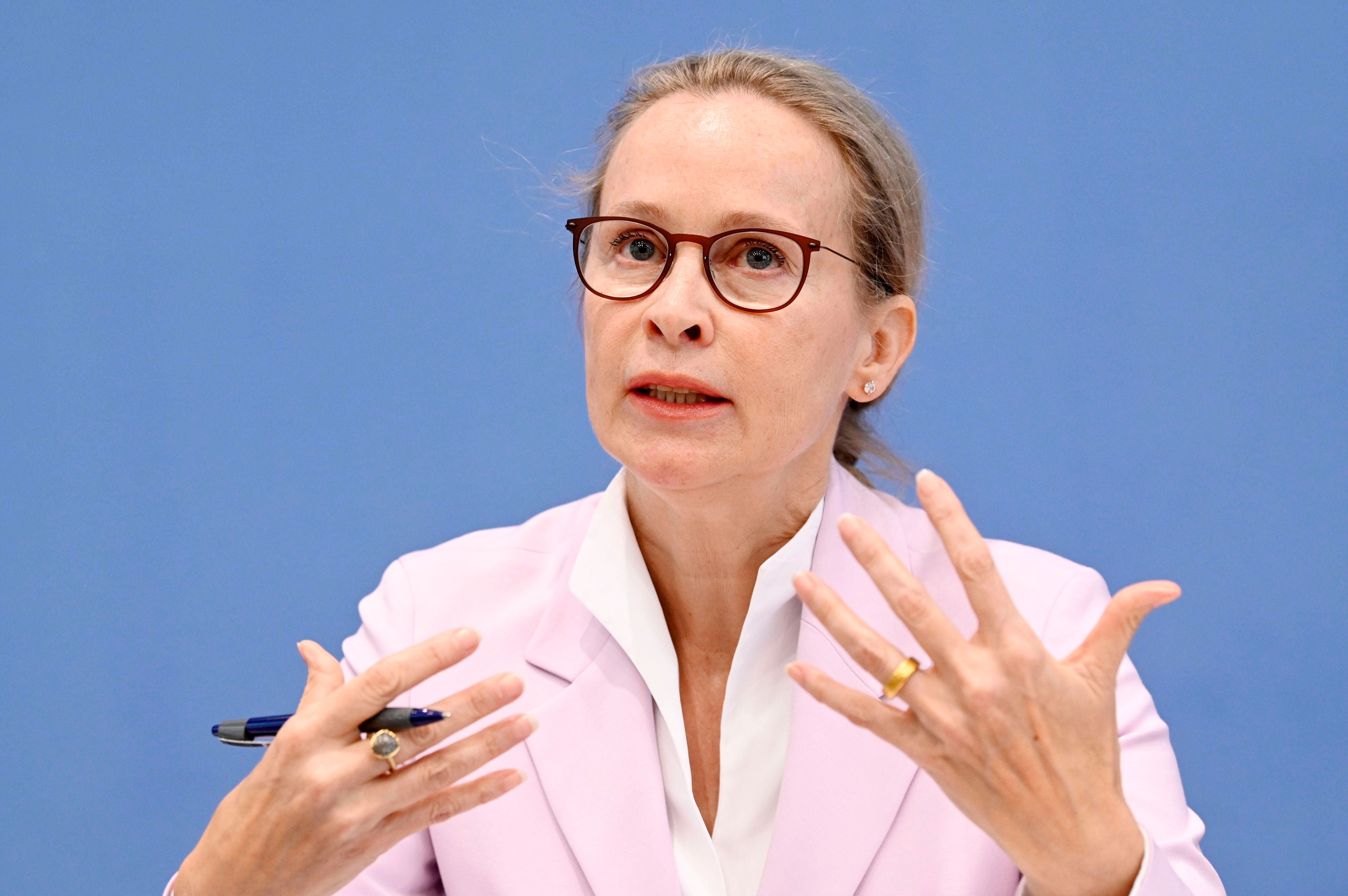 Für AfD-Verbot und Corona-Impfpflicht: Frauke Brosius-Gersdorf soll Verfassungsrichterin werden