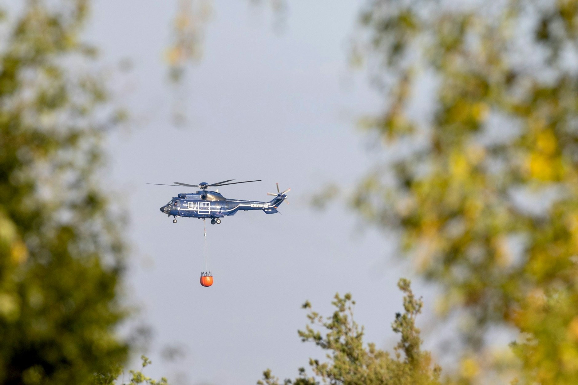 Die nächste Hitzewelle könnte noch heißer sein als die vergangene.