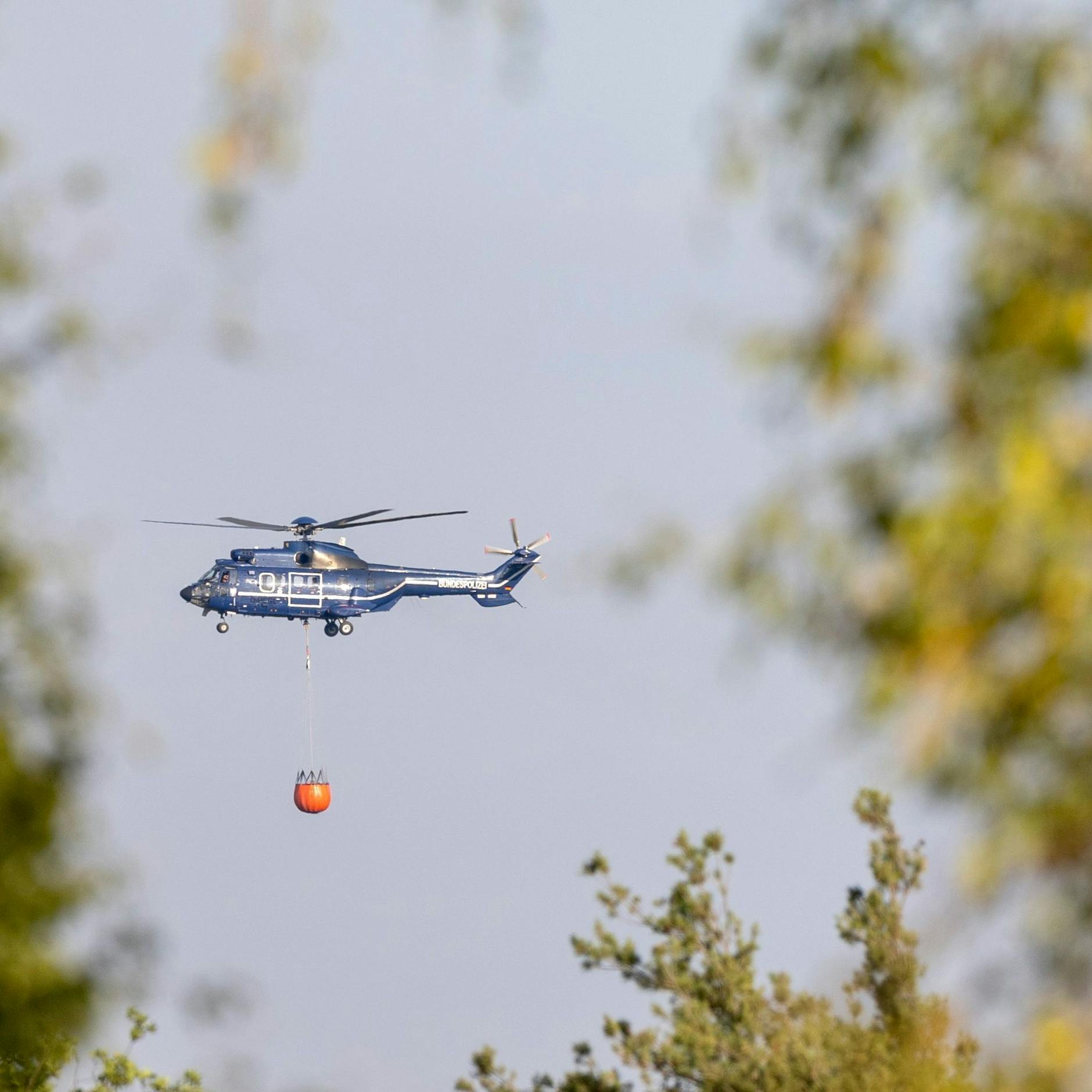 Image - Droht eine neue Hitzewelle? Wetter-Modell zeigt Temperaturen bis zu 43 Grad