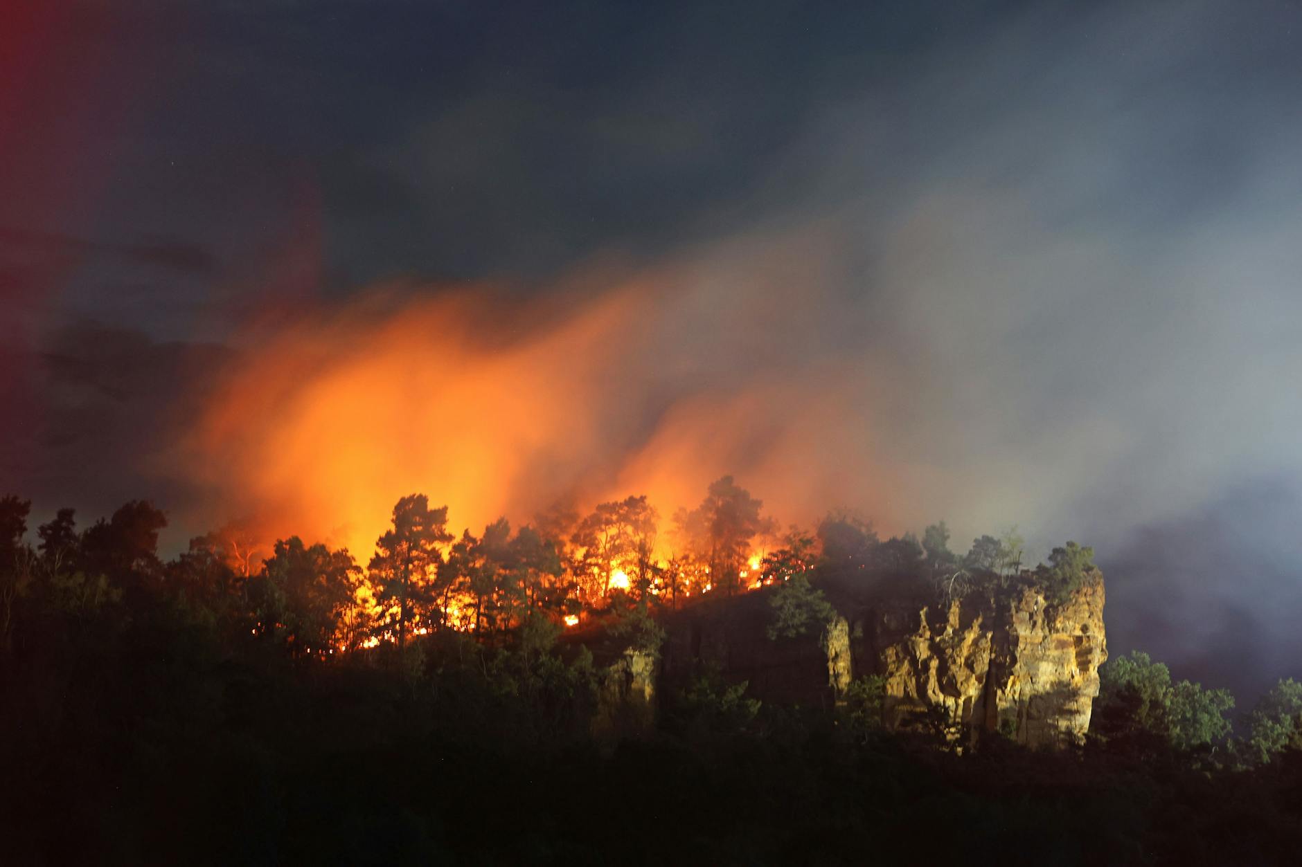 Eine Waldfläche im Bereich Lehof in Quedlinburg steht am Abend in Flammen.