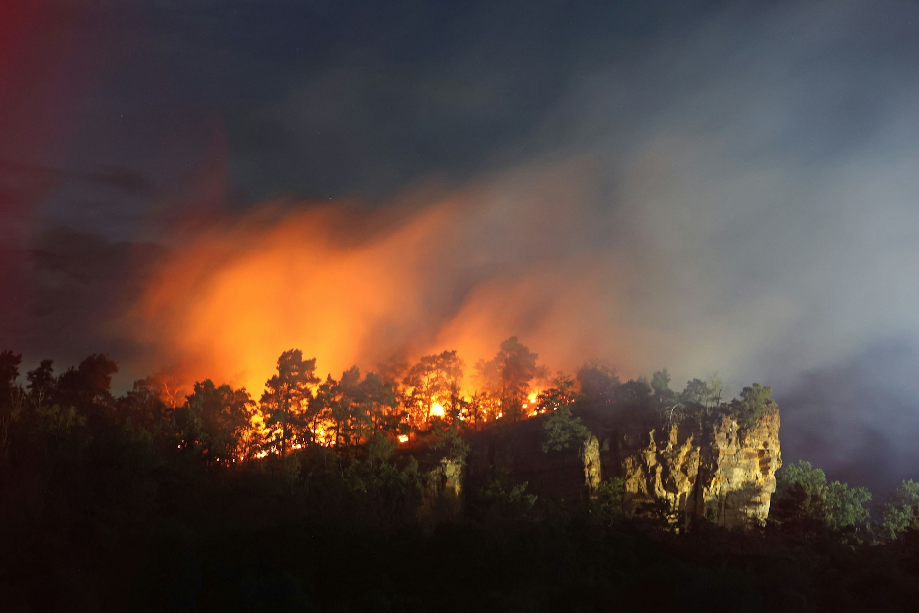 Eine Waldfläche im Bereich Lehof in Quedlinburg steht am Abend in Flammen.