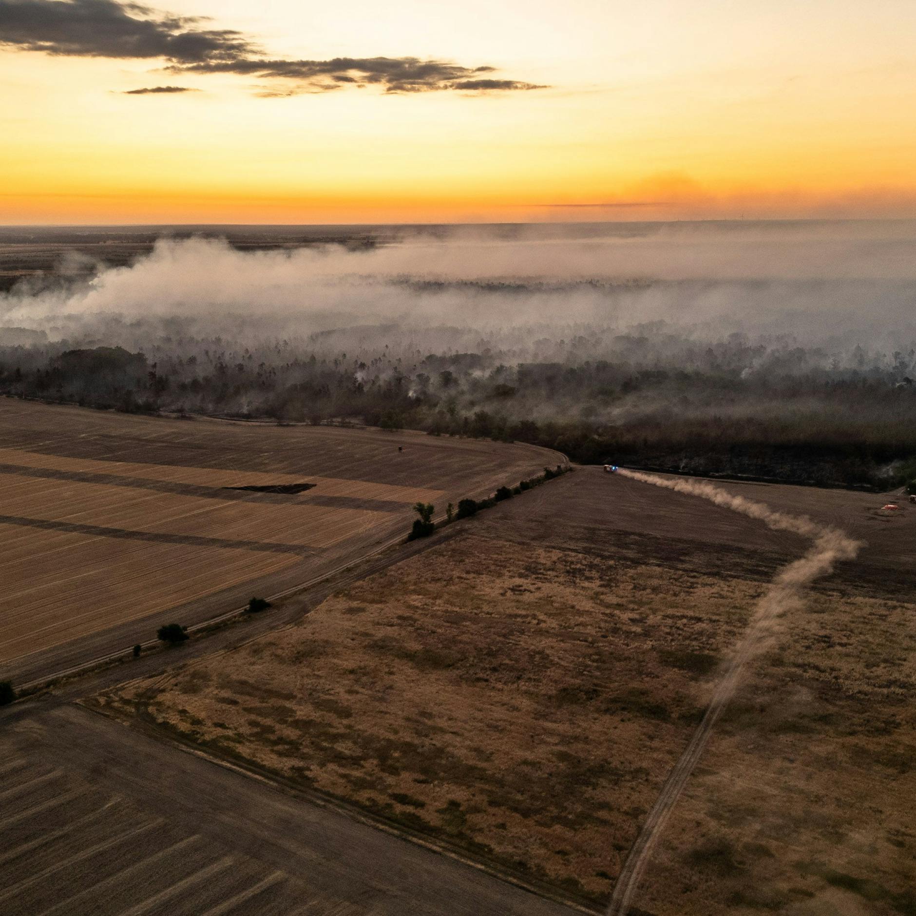 Image - Waldbrand in Sachsen: Dreht der Wind über der Gohrischheide - Brandenburg bedroht