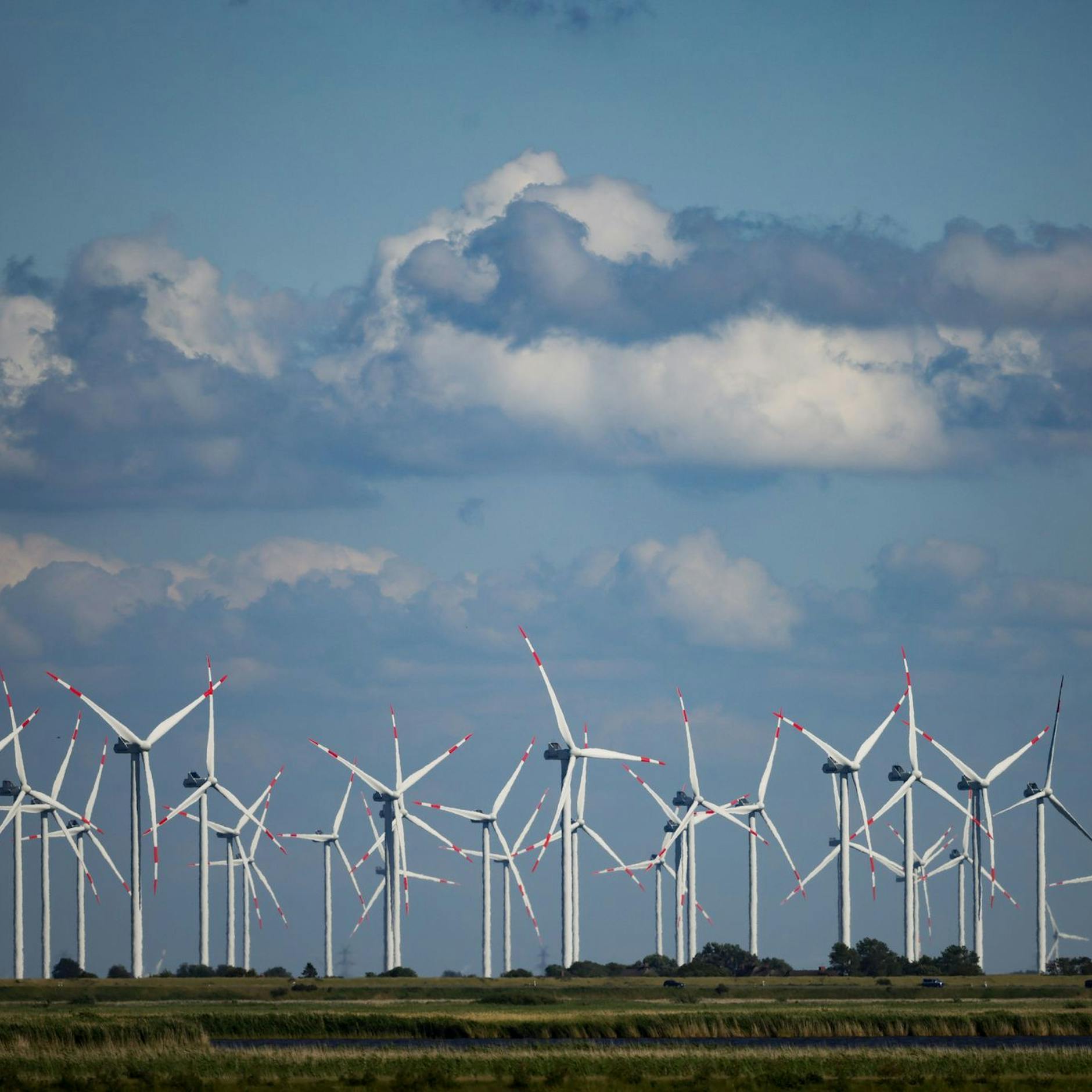 Image - Wie ein Gesetz von Robert Habeck zu einer potenziellen Gefahr für Berlins Wälder wird