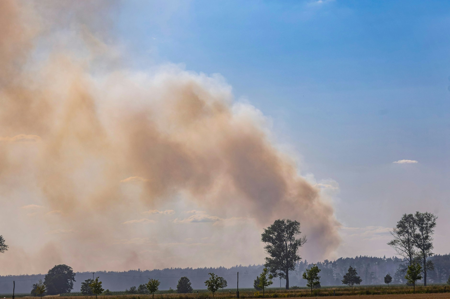 Der Waldbrand in Gohrischheide: Eine große Rauchwolke steht über dem Gebiet, die nun in die Hauptstadt-Region abzieht.