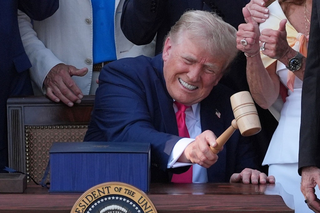 While AfD breaks away: US President Trump promises “remigration”