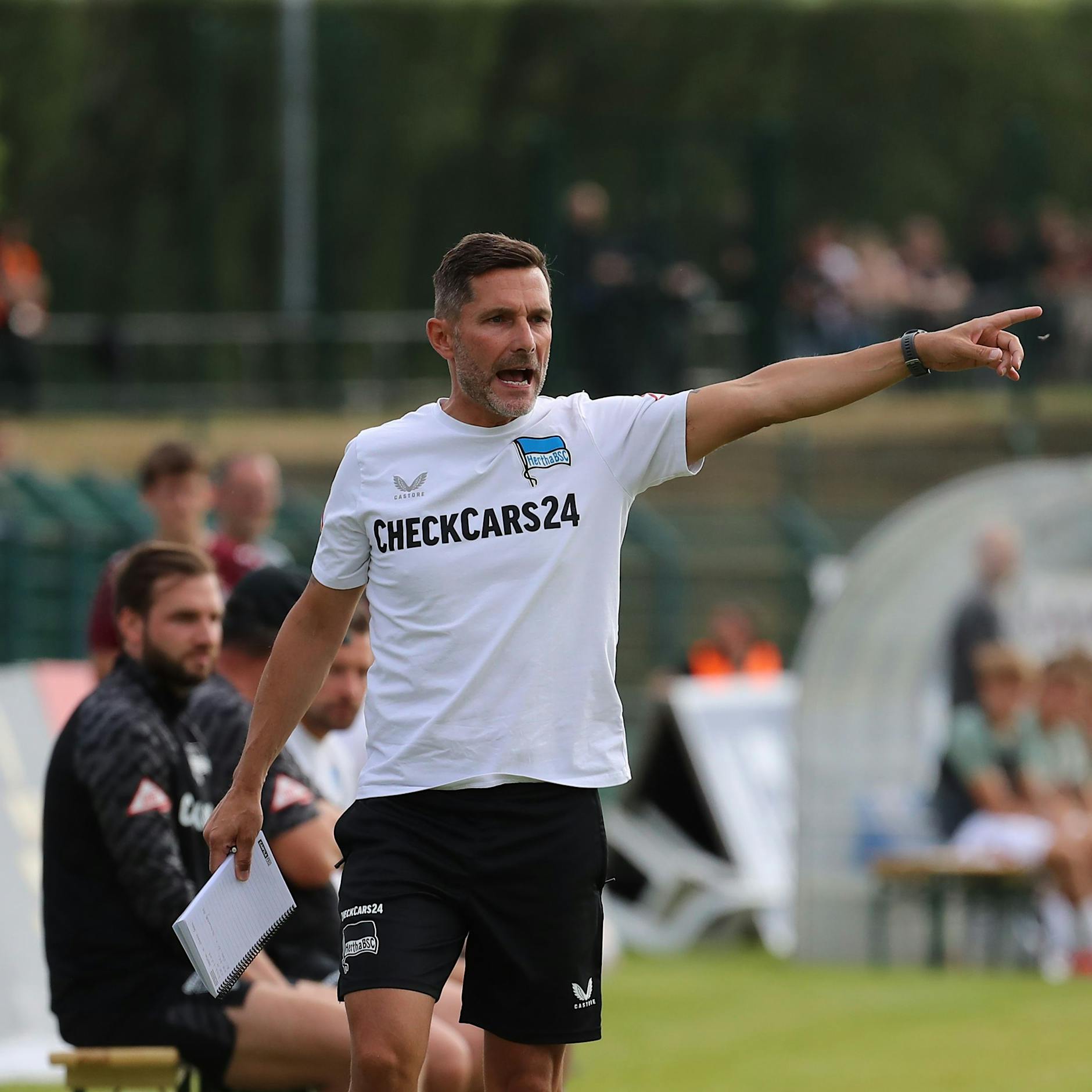 „Geiles Pressing!“ Hertha-Coach Stefan Leitl adelt BFC-Kollegen Kutrieb