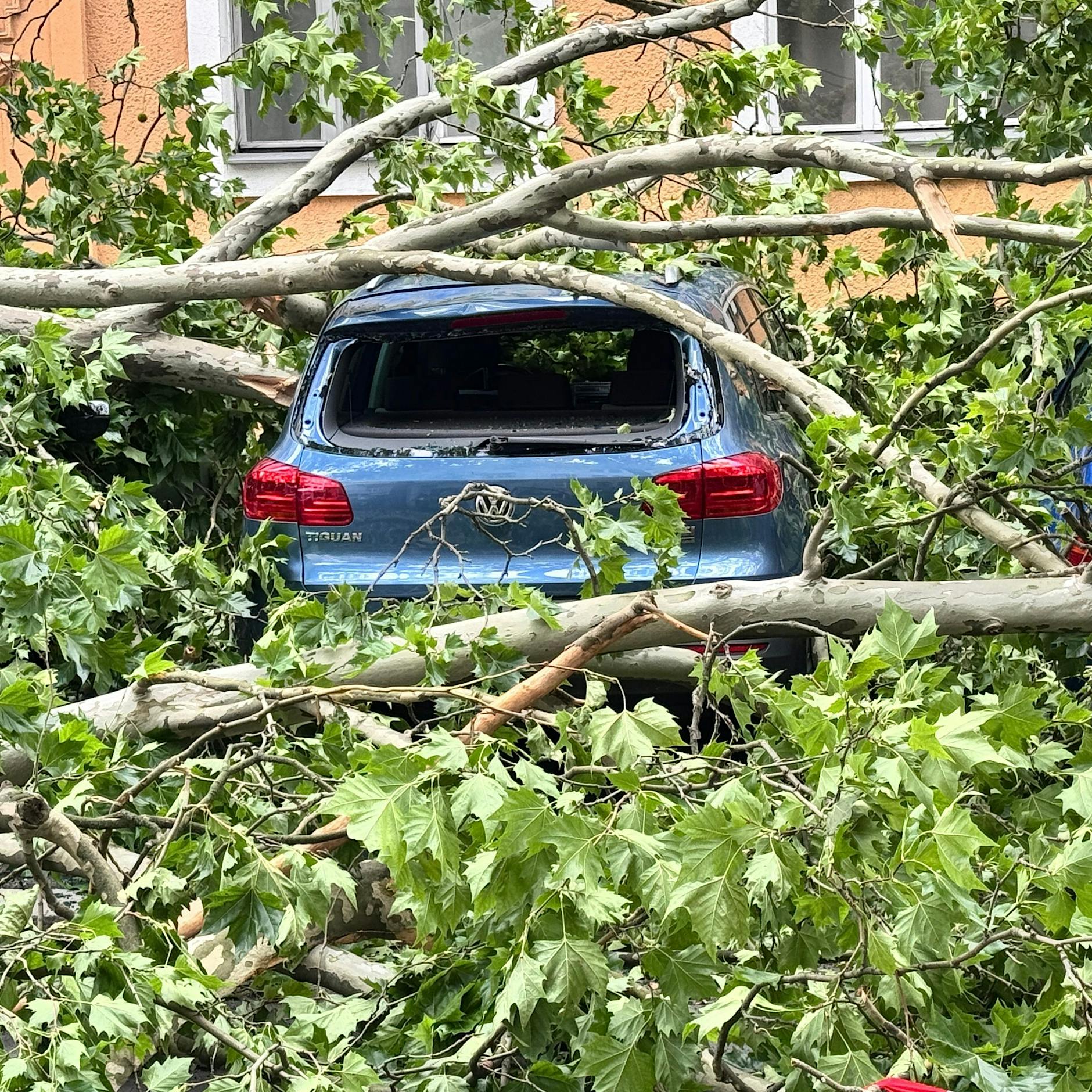 Vorsicht, Gewitter! Wetterdienst warnt vor heftigem Regen und Sturm