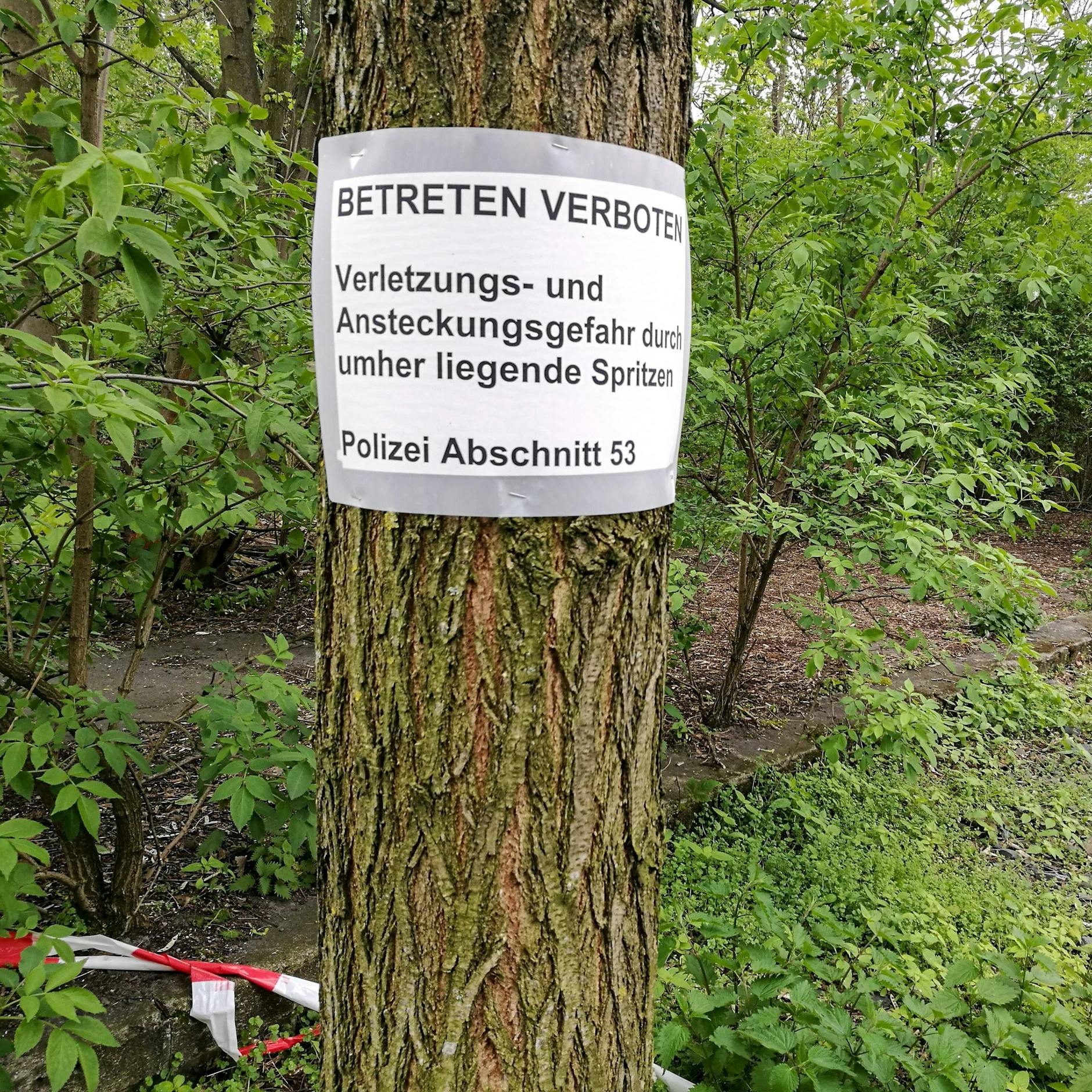Image - „Eine Schande für die Stadt“: Diese Berliner Parks fallen bei Besuchern durch