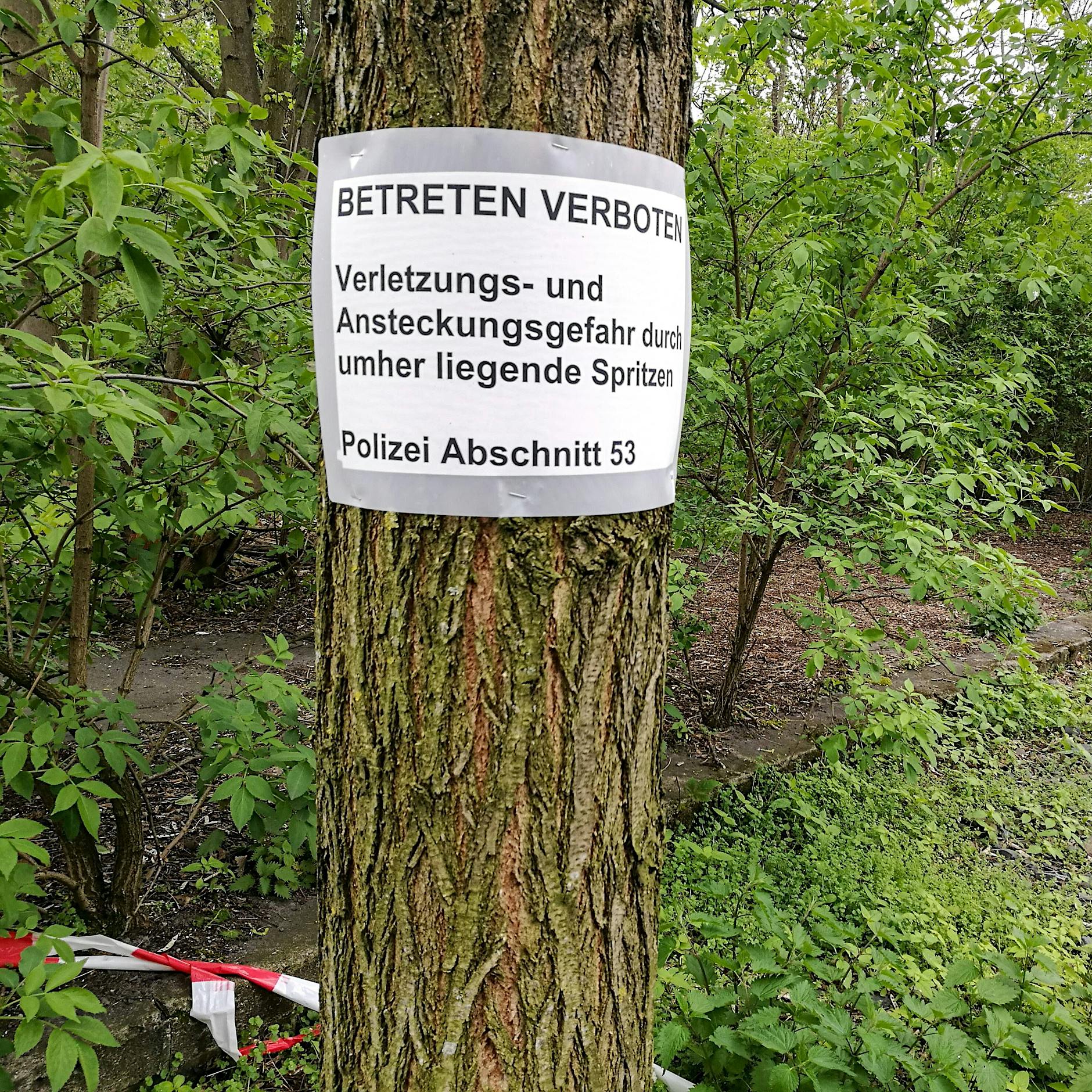 „Eine Schande für die Stadt“: Diese Berliner Parks fallen bei Besuchern durch
