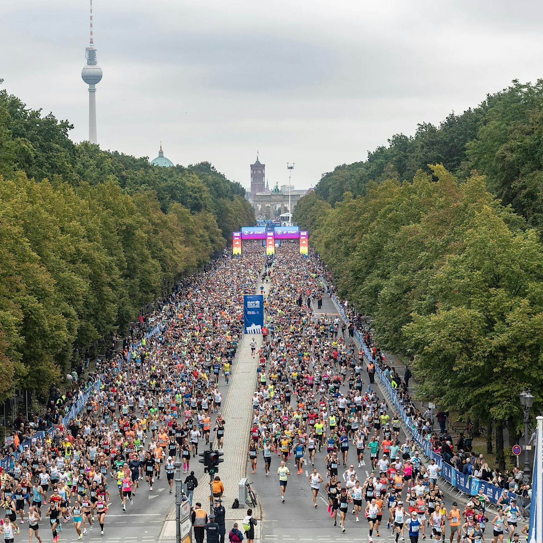 Berlin-Marathon: So viele Millionen bringt das Mega-Event der Hauptstadt