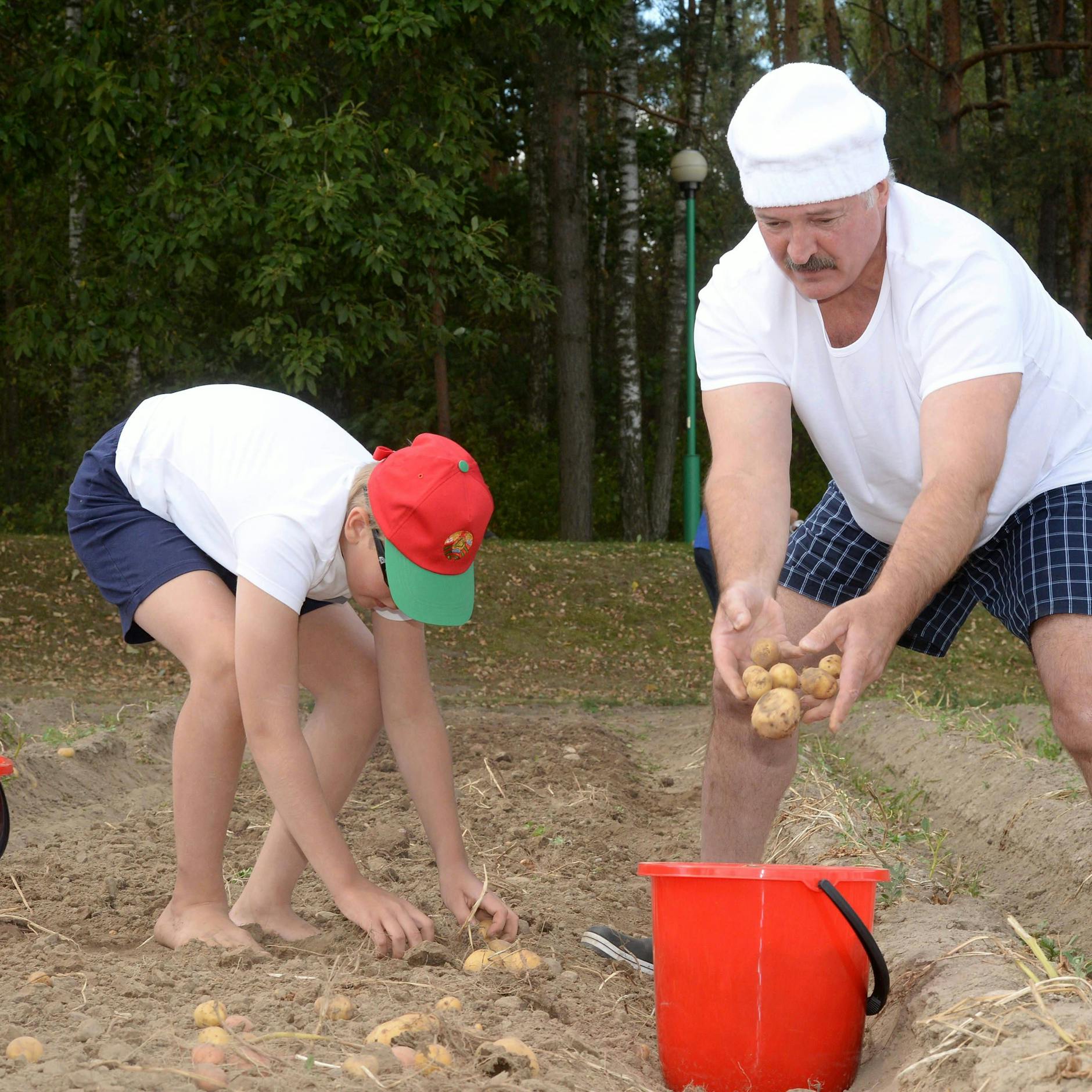 Image - Kartoffelkrise in Belarus: Lukaschenkos Kampf um das nationale Gemüse