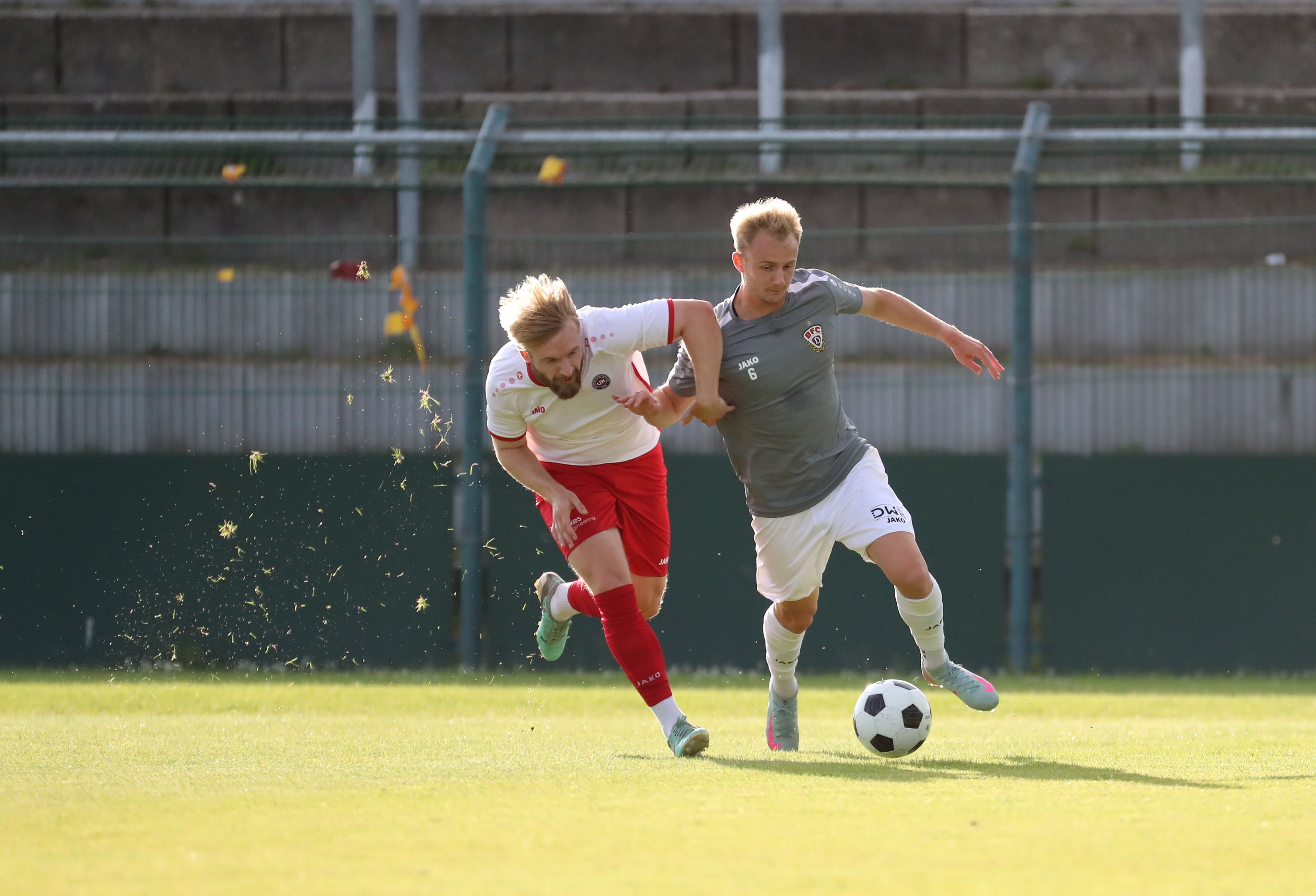 Image - Weiter, immer weiter: BFC Dynamo holt den 16. neuen Spieler