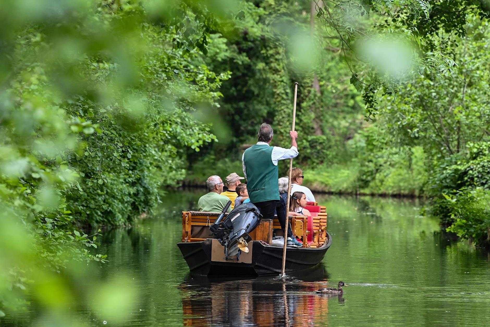 Man meint sie zu hören, die irre summenden Mücken im Spreewald. Nur ein Wort: Autan!