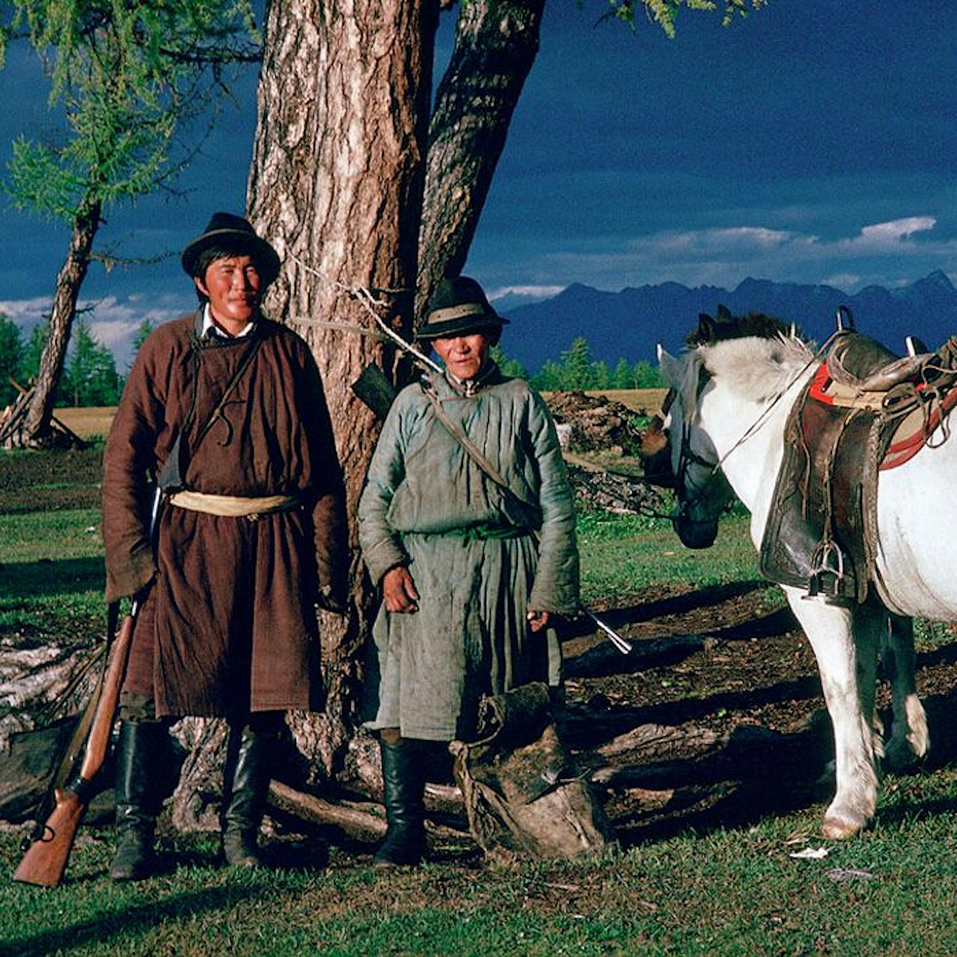 Von Peter Weibel bis Ulrike Ottinger: Rekordpräsentation des Videoforums der nbk in der Akademie der Künste