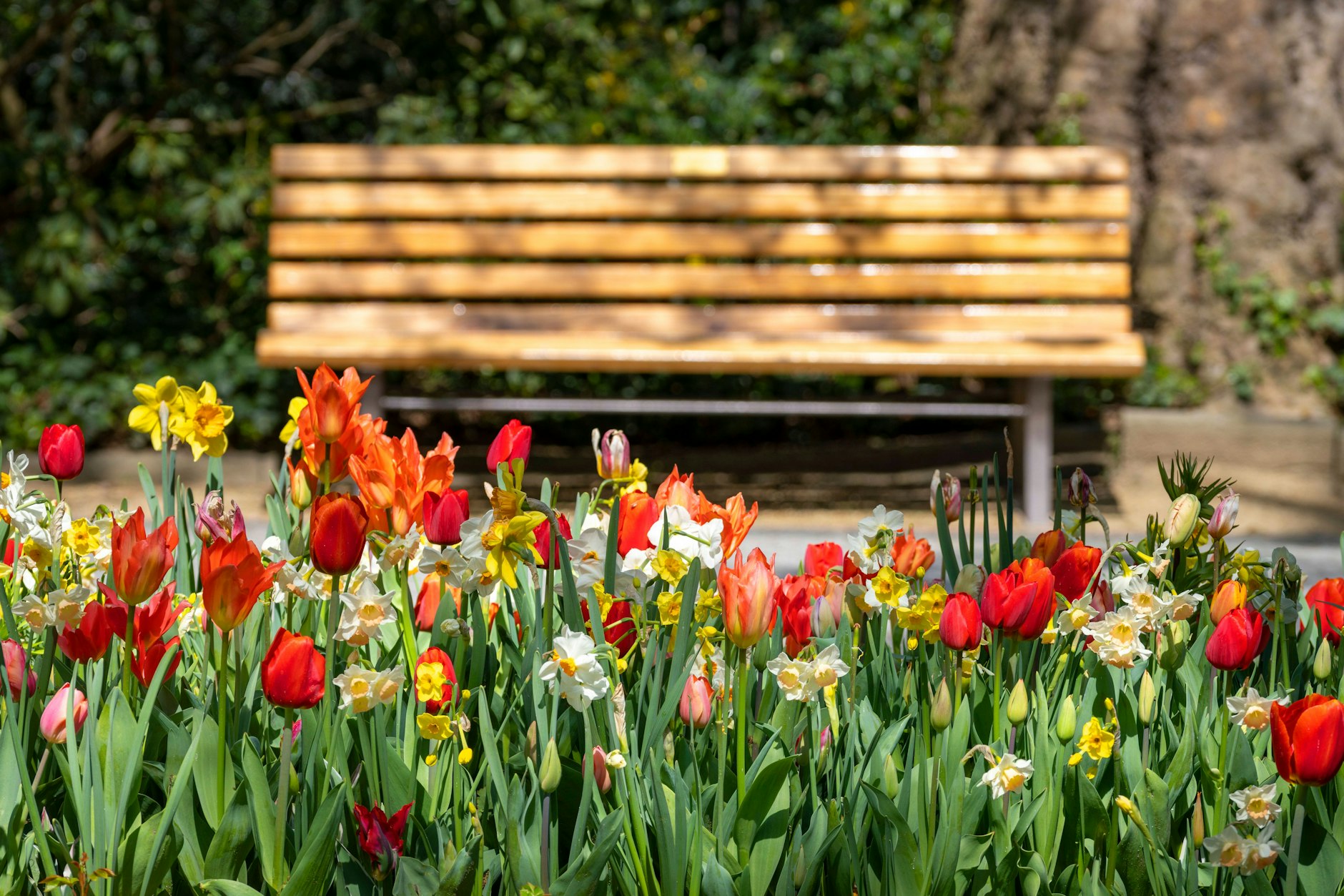 Plauderbänke laden in Wilmersdorf zum Kennenlernen und Quatschen ein.