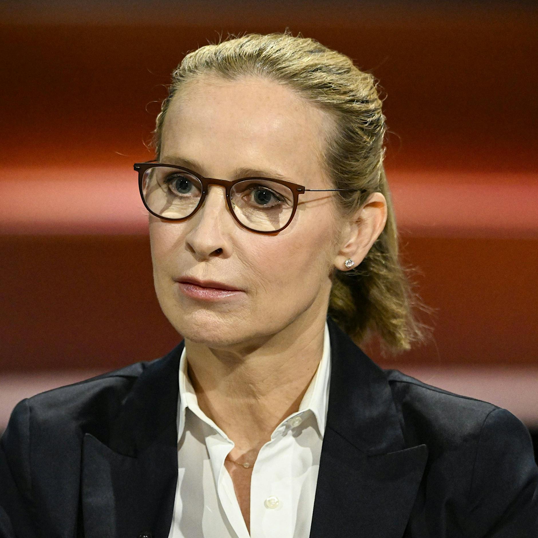 Rechtswissenschaftler änderte Wikipedia-Eintrag von Brosius-Gersdorf zum Thema Abtreibung