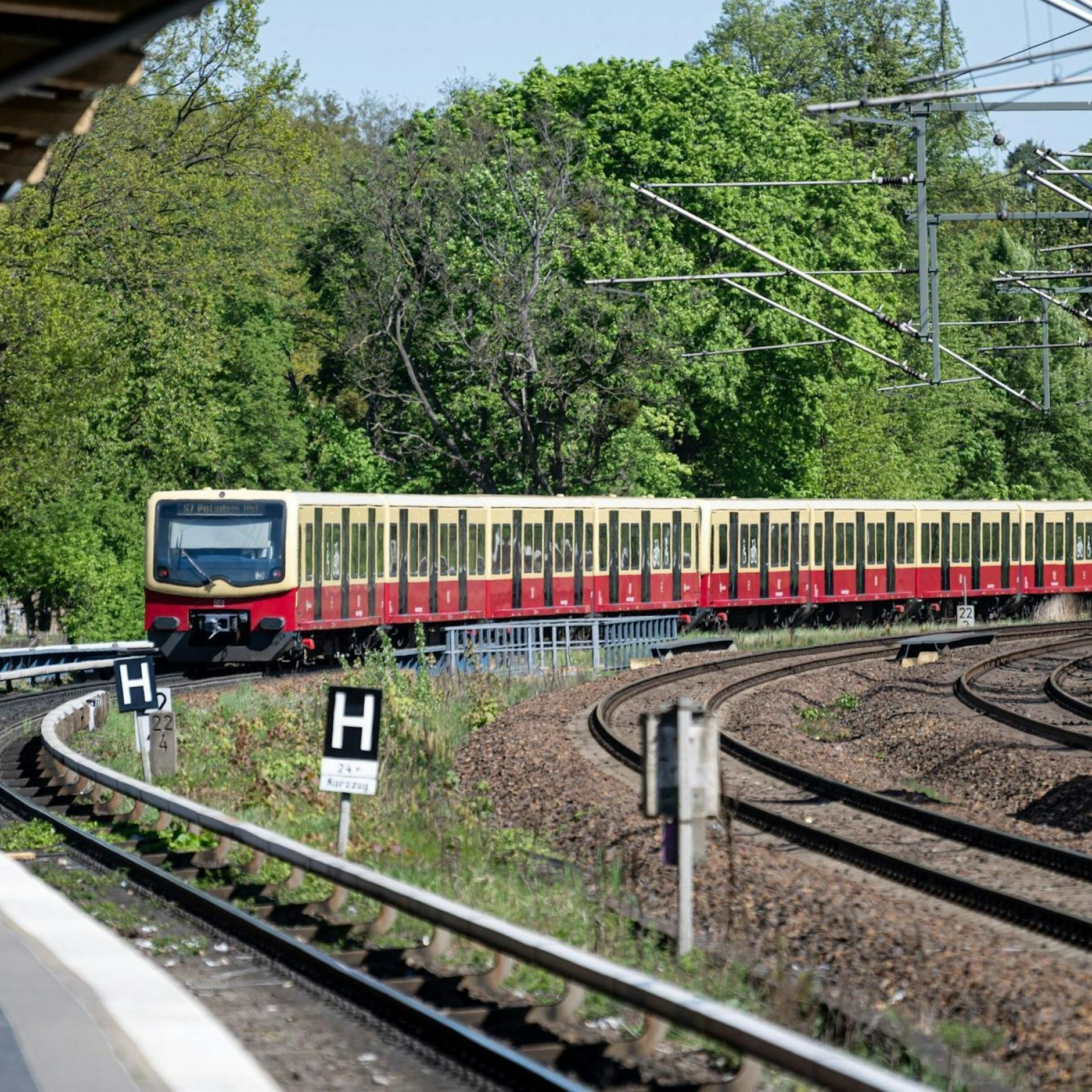 Image - S-Bahn Berlin: Unterbrechungen wegen Personalmangel auf diesen Linien