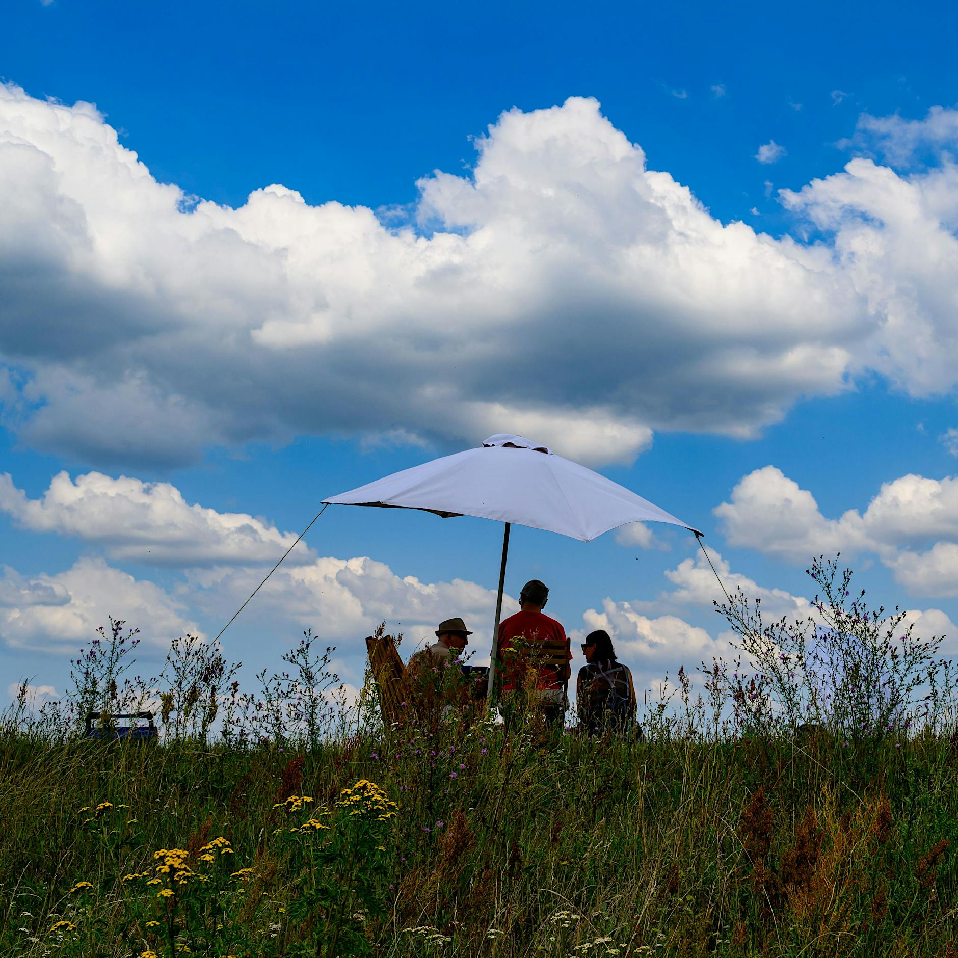 Falsche Wetterprognosen: Warum werden 43 Grad vorausgesagt, aber dann werden es nur 23?