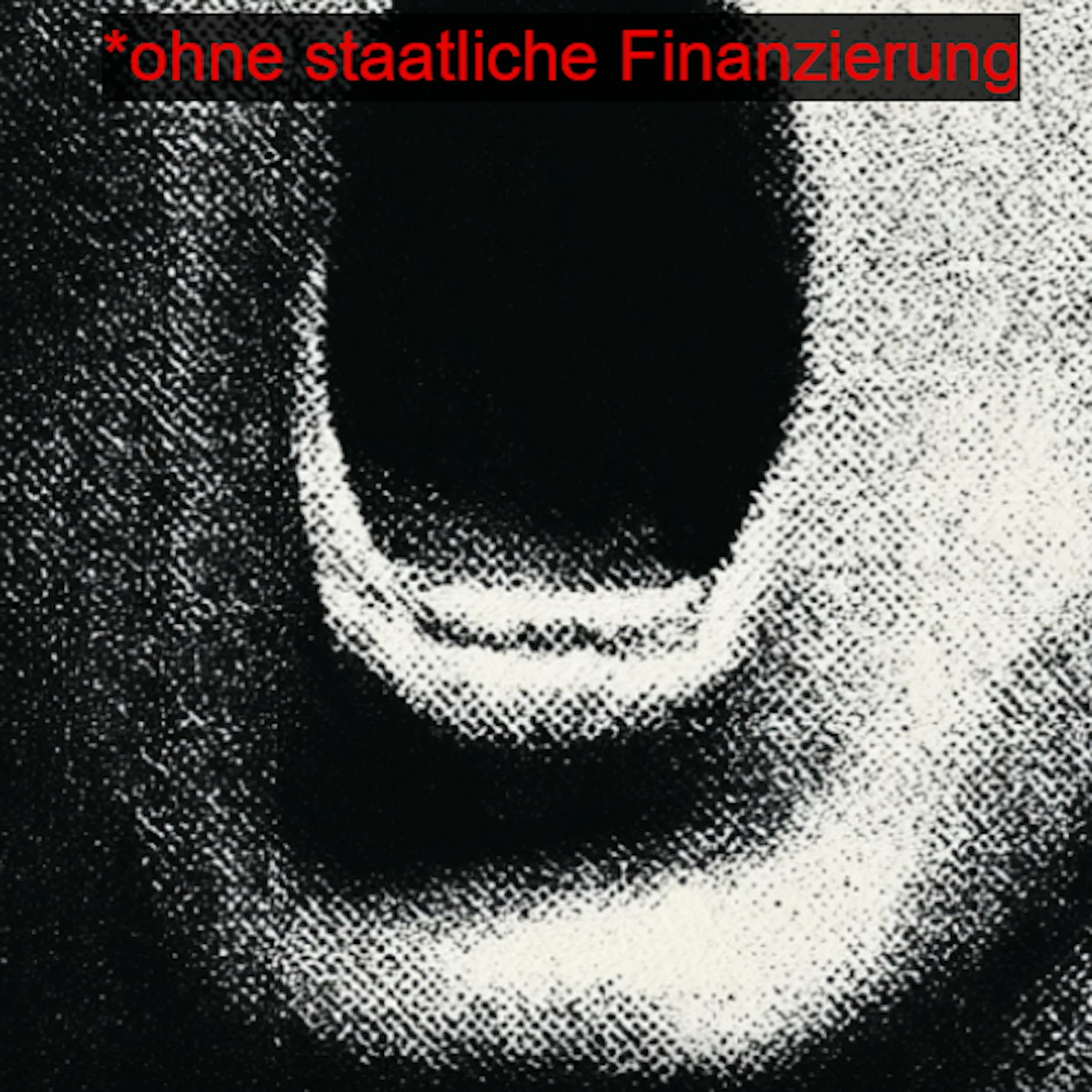 Image - Redeverbot im Namen der Demokratie? Diese NGO widerspricht