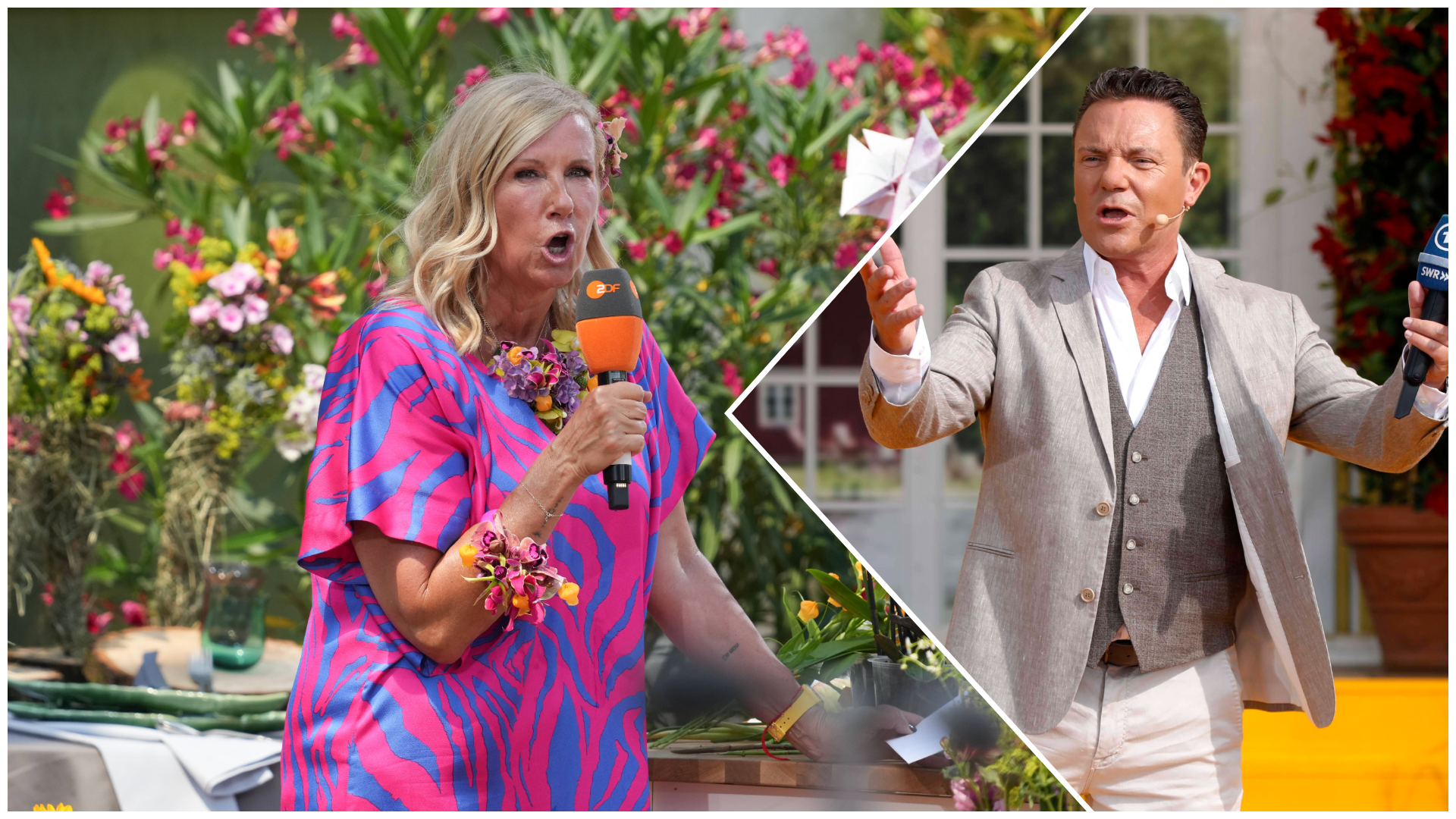Schlager-Sensation: Andrea Kiewel holt Stefan Mross in ZDF-Fernsehgarten