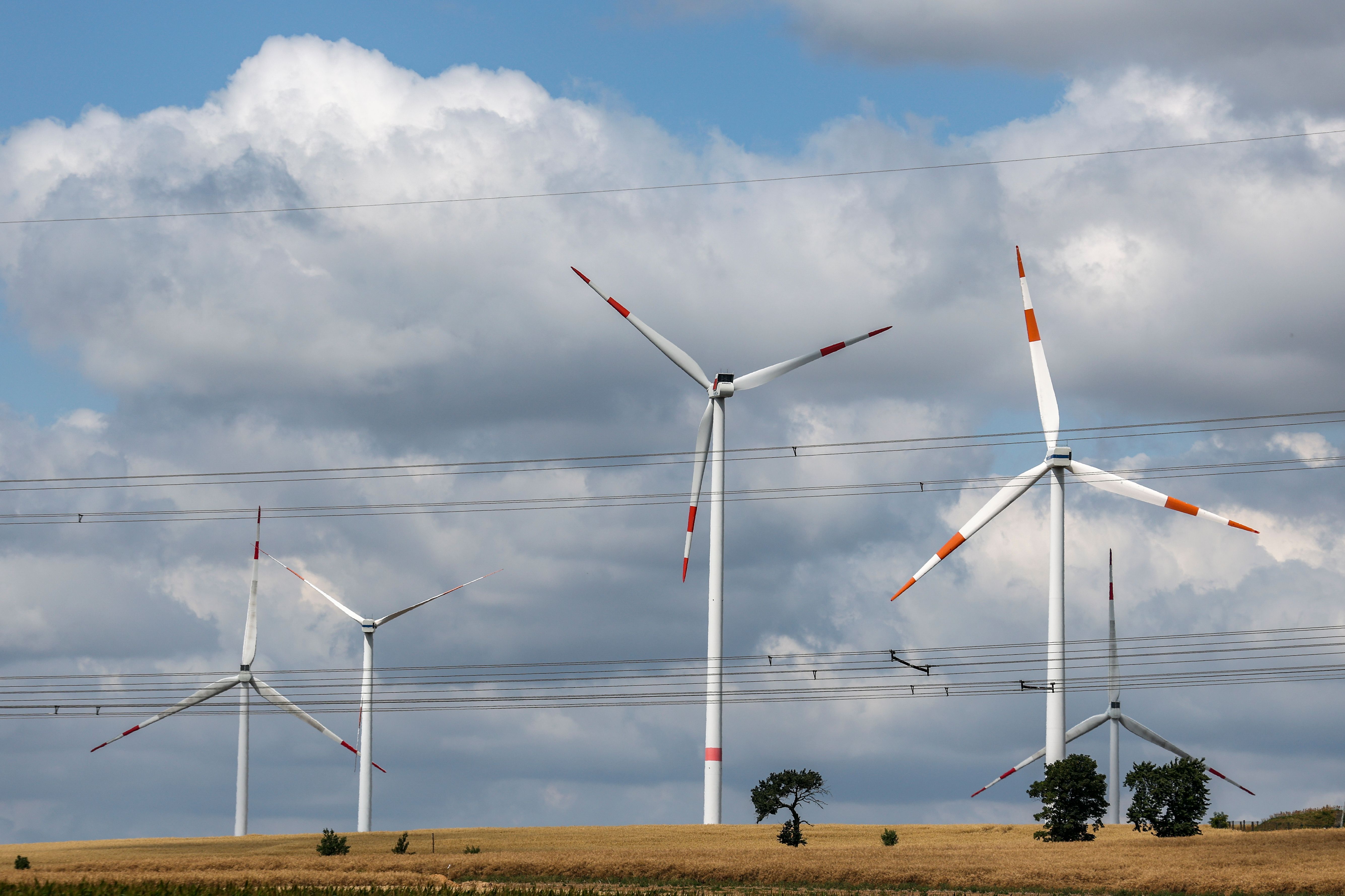 Netzentgelte 2025: Der Osten profitiert massiv – Berlin zahlt die Rechnung