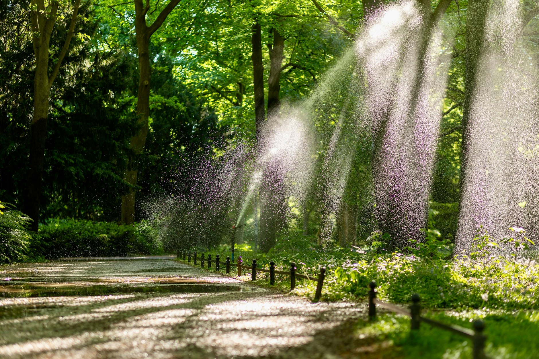 Ist ein Park ein sicherer Ort? Das ist immer eine Frage der Tageszeit.