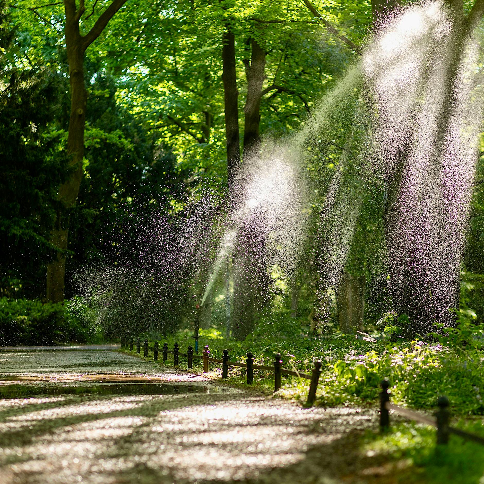 Sicherheitsgefühl in Berlin: Warum haben wir nachts so viel Angst vor anderen Menschen?