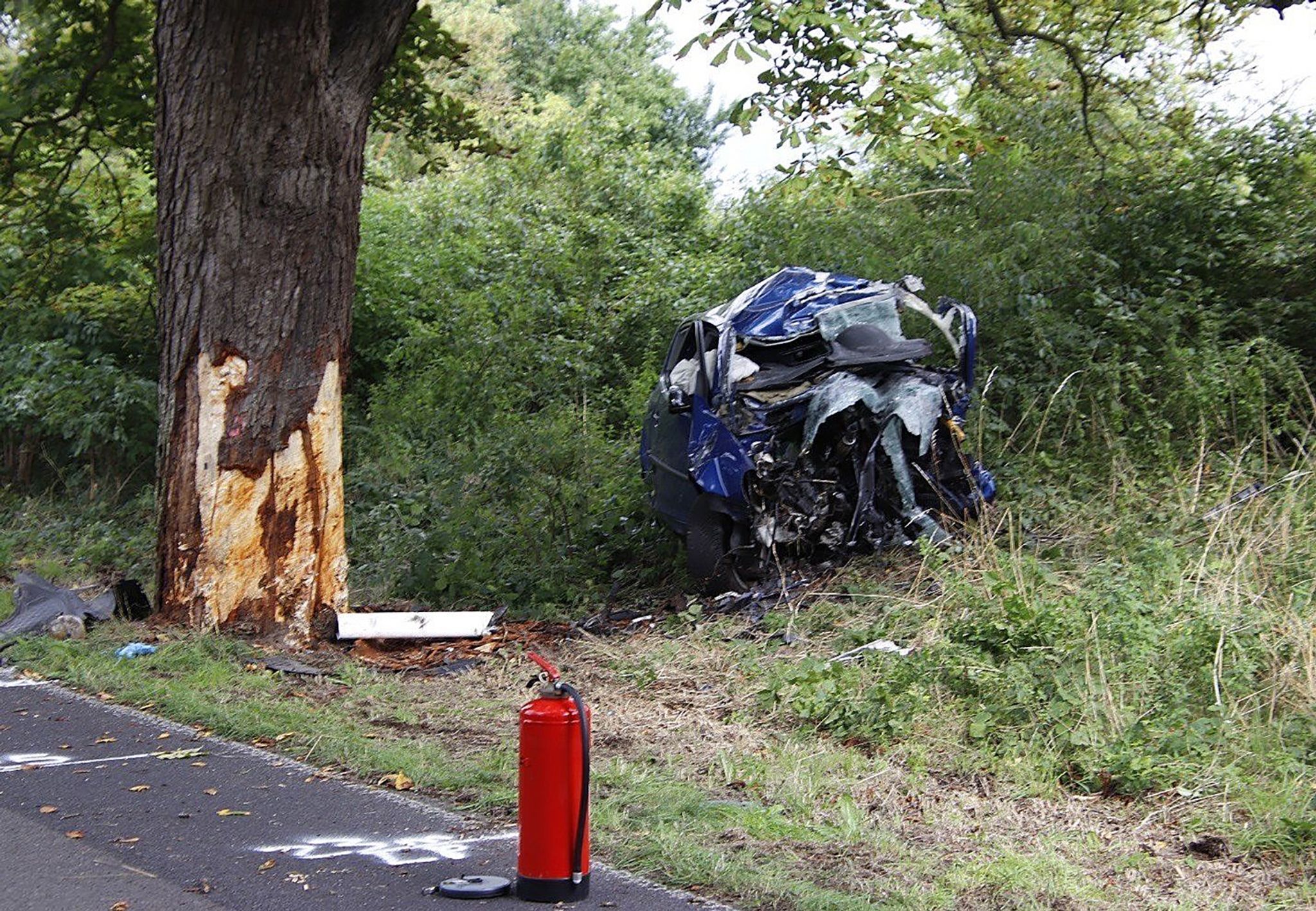 Image - Horror-Unfall! 21-Jähriger kracht gegen Baum und stirbt