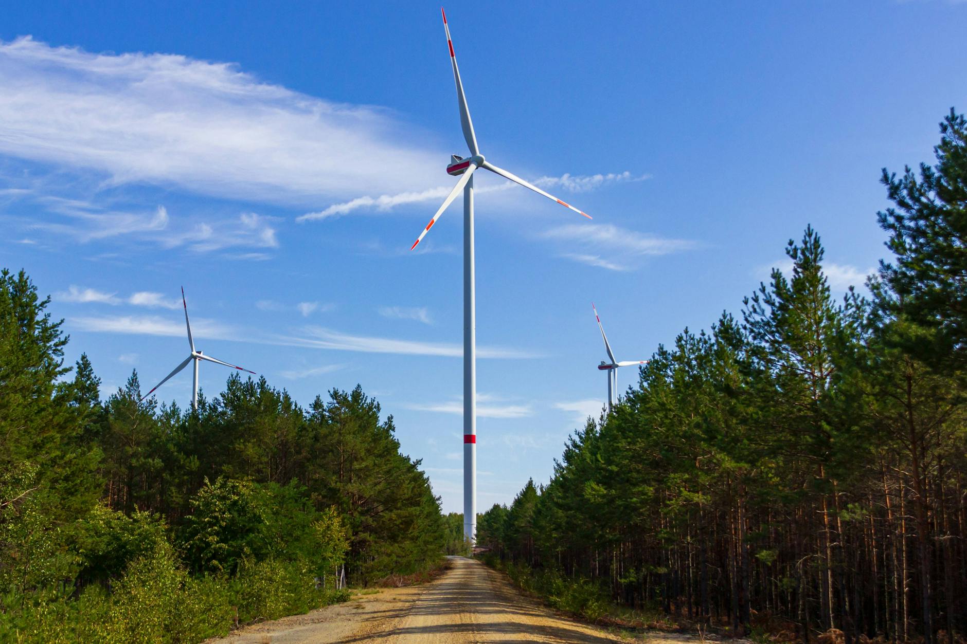 Windräder werden seit einigen Jahren auch im Wald erlaubt. Die neuesten Anlagen sind mehr als 260 Meter hoch.