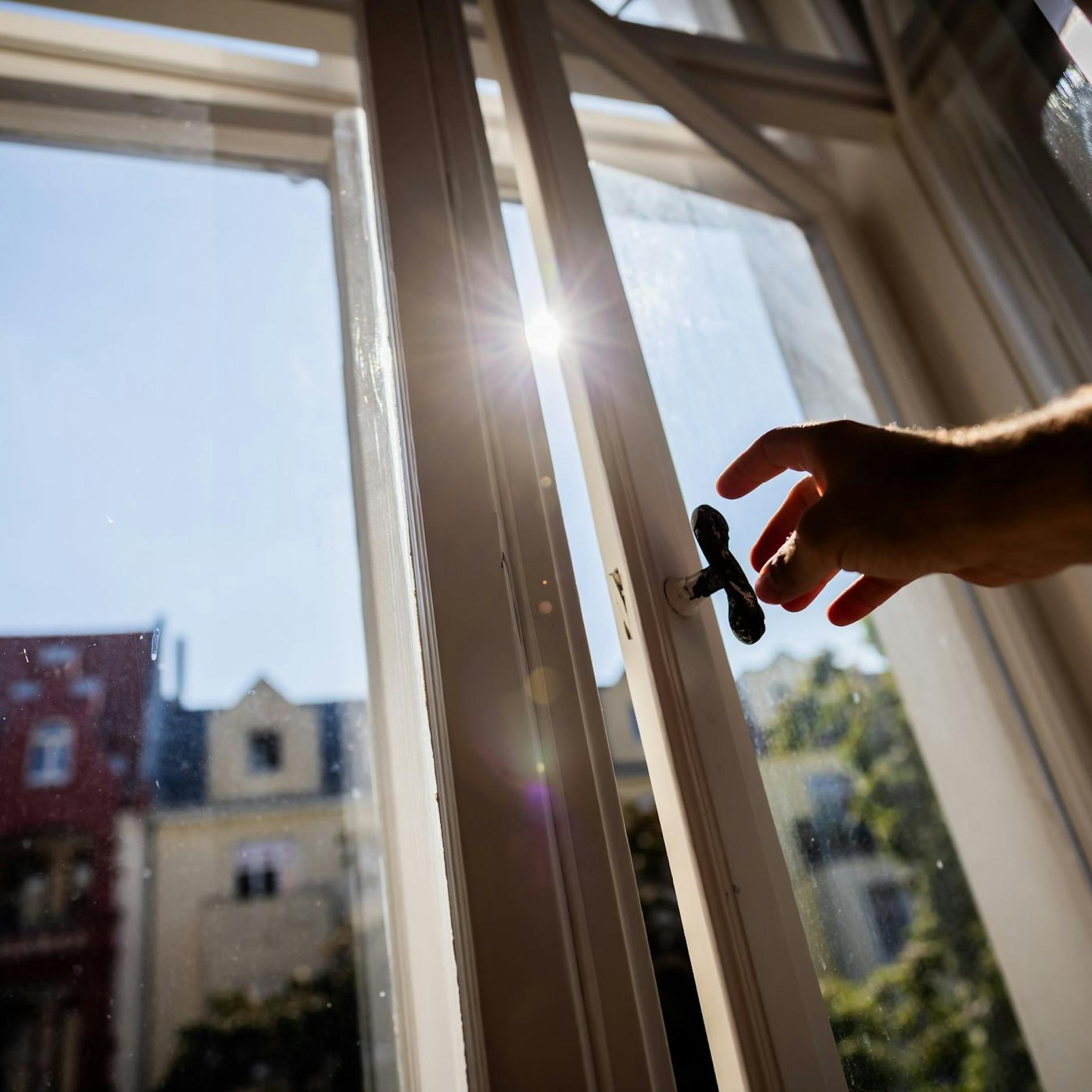 Image - Studie: Mikroplastik-Belastung in Wohnung und Auto deutlich höher als gedacht