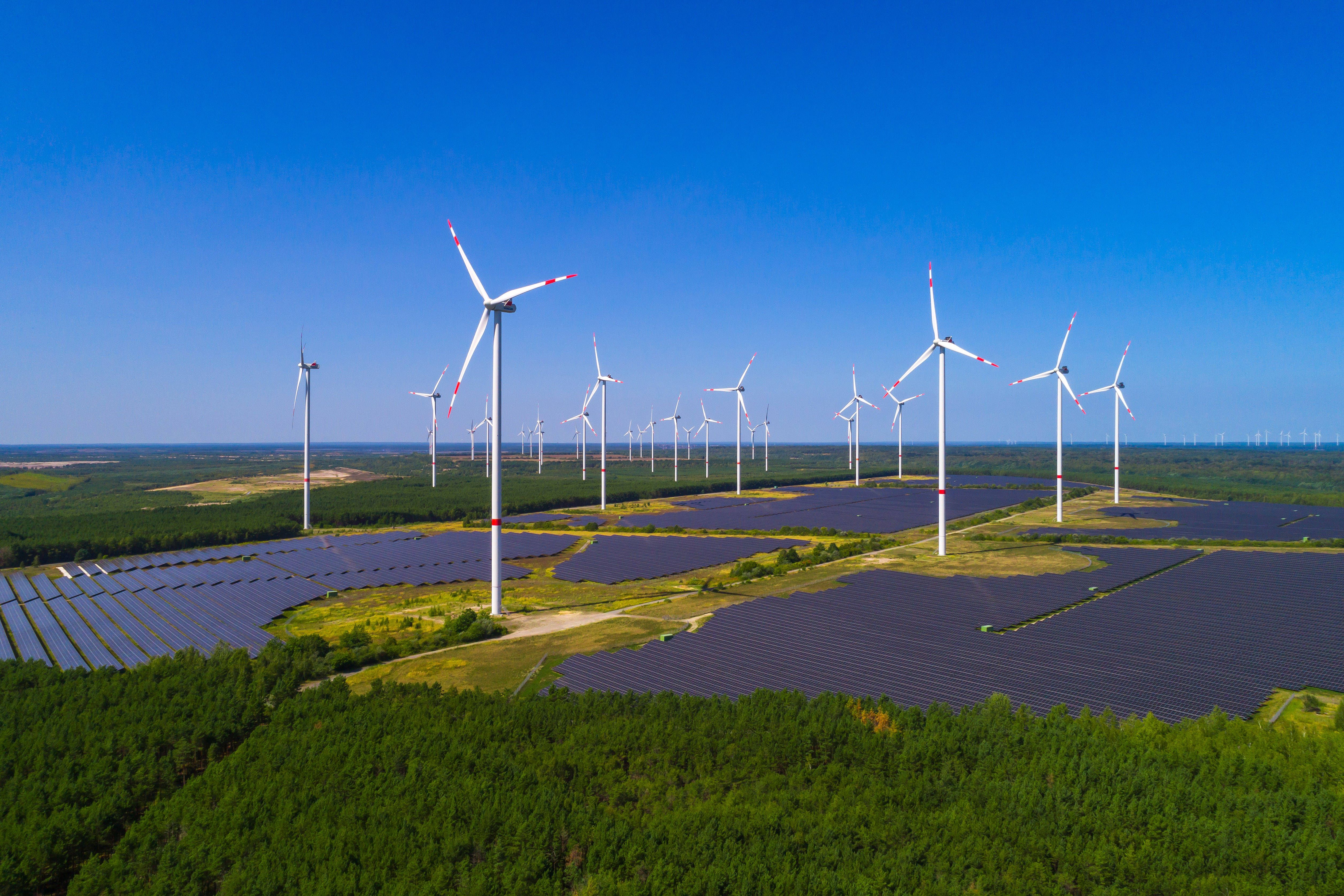 Stromnetz am Limit: Deutschland drosselt Wind- und Solaranlagen in Rekordmengen