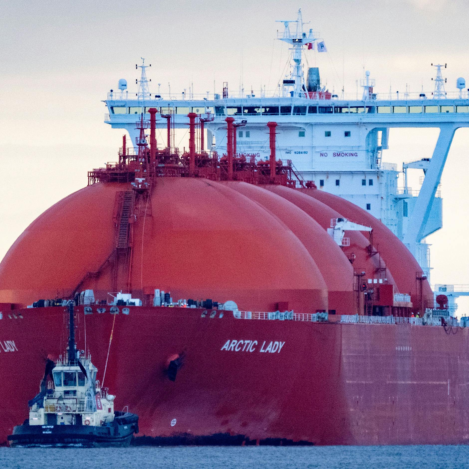 Die Grünen und das Gas: Die Abhängigkeit von den USA wird schockierend sein