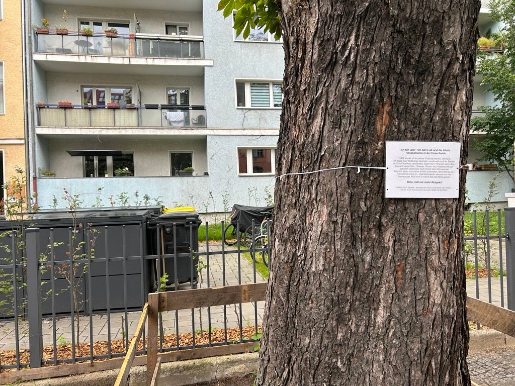 Hasenheide in Neukölln: „Mensch und Tier pinkeln mich an“ – ein Baum beschwert sich