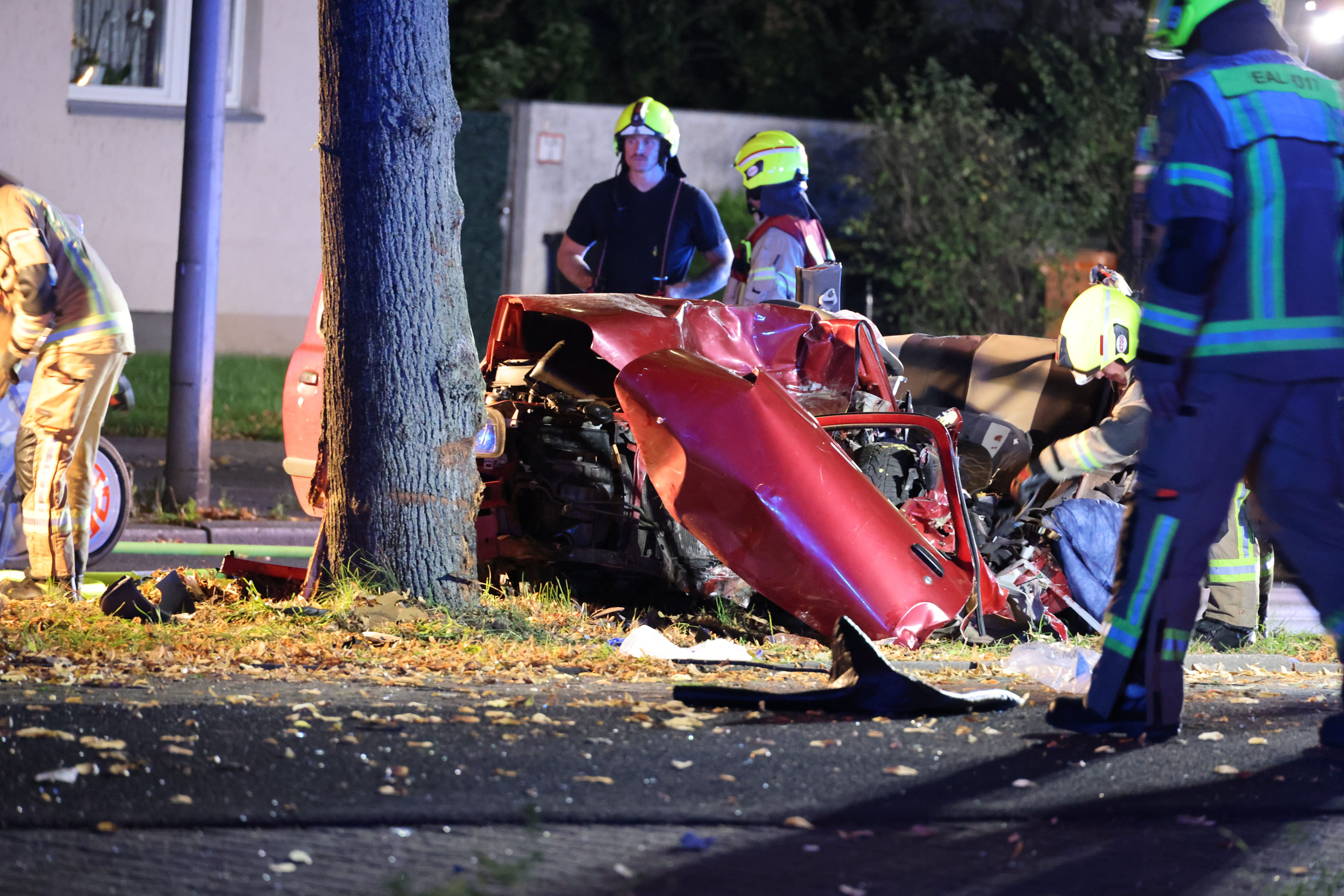 Horror-Crash in Berlin: An diesem Straßenbaum stirbt ein 19-Jähriger