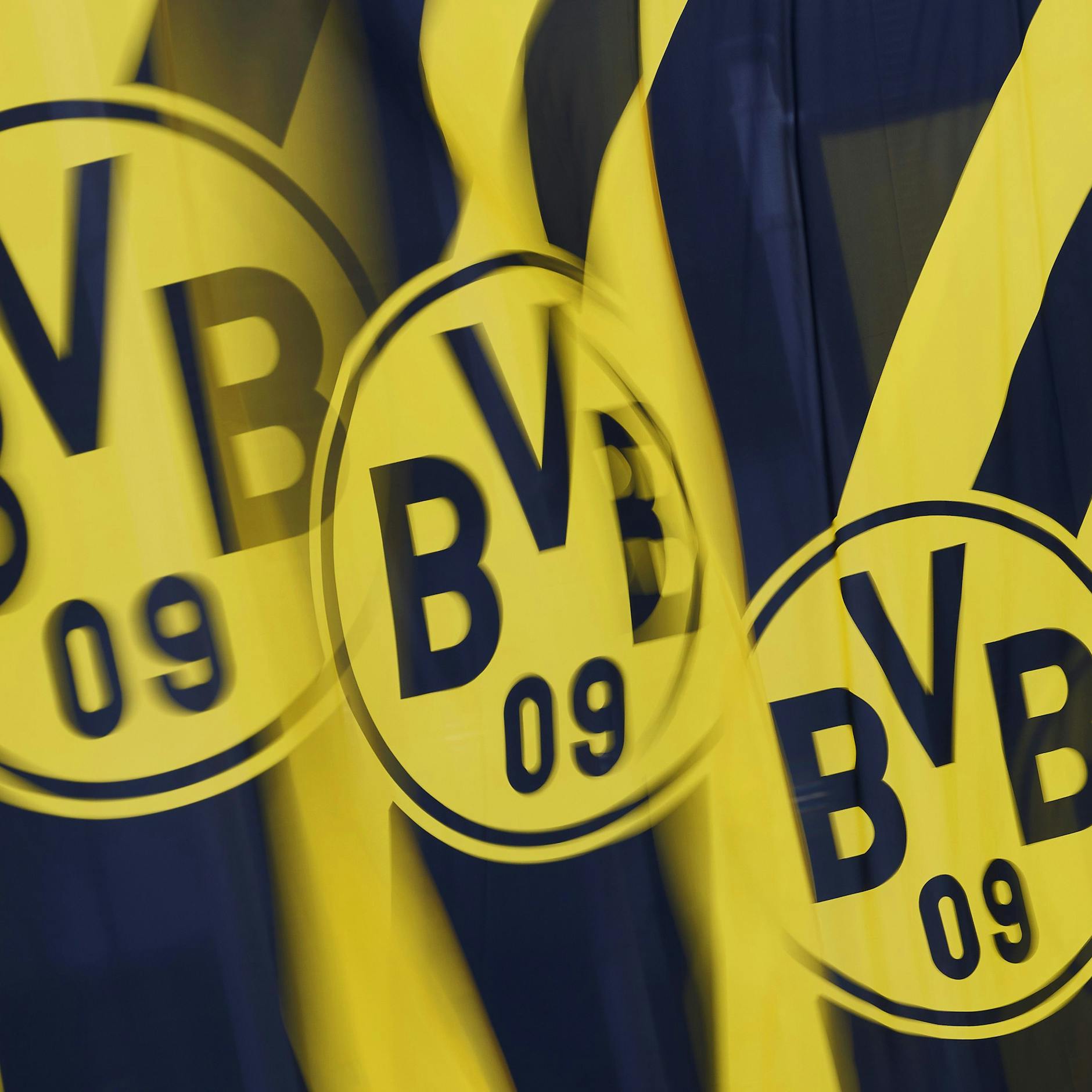 Image - Sticker-Streit: BVB will rechtlich gegen AfD-Wahlwerbung mit Schwarz-Gelb vorgehen