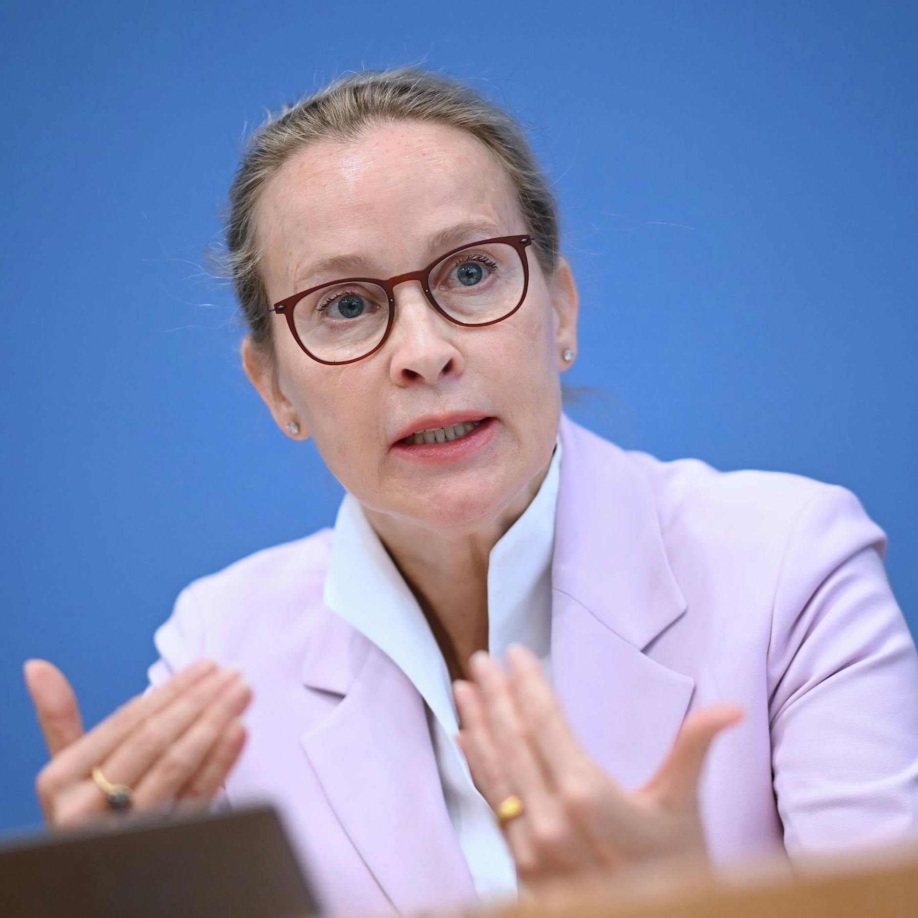 Image - Bericht: Hat der Ehemann von Brosius-Gersdorf ihre Doktorarbeit geschrieben?